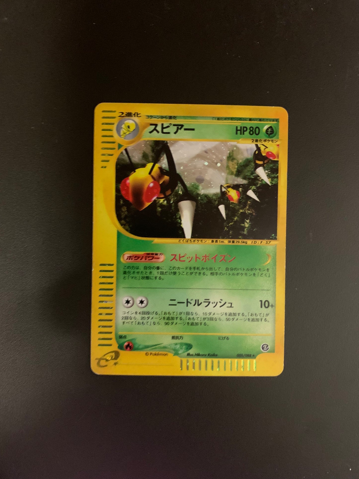 Pokemon Karte Holo Bibor 5/88 Japanisch