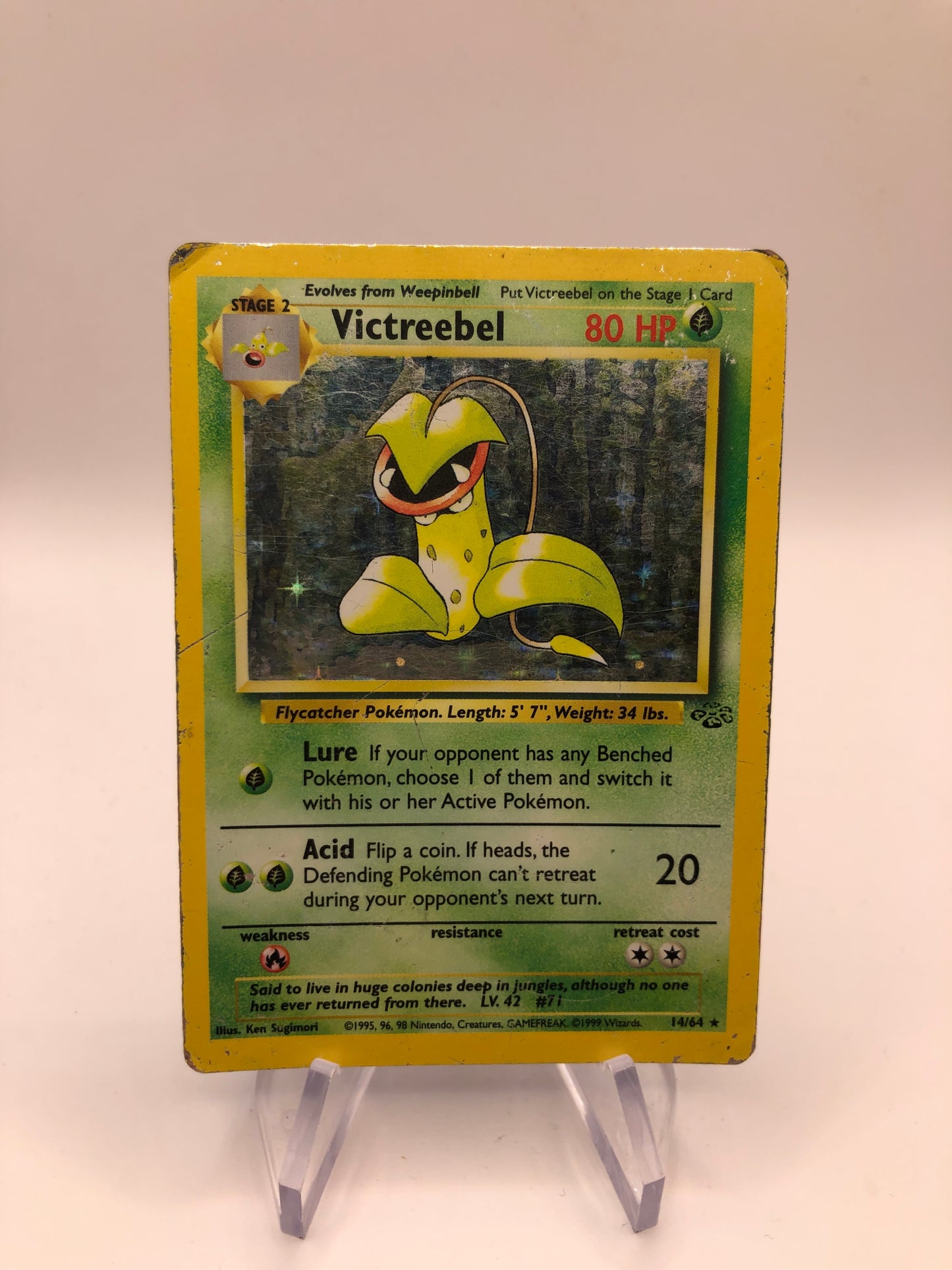 Pokemon Karte Holo Sarzenia 14/64 Englisch