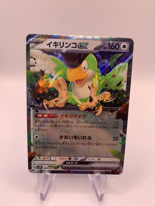 Pokemon Karte Ex Krawalloro 65/71 Japanisch