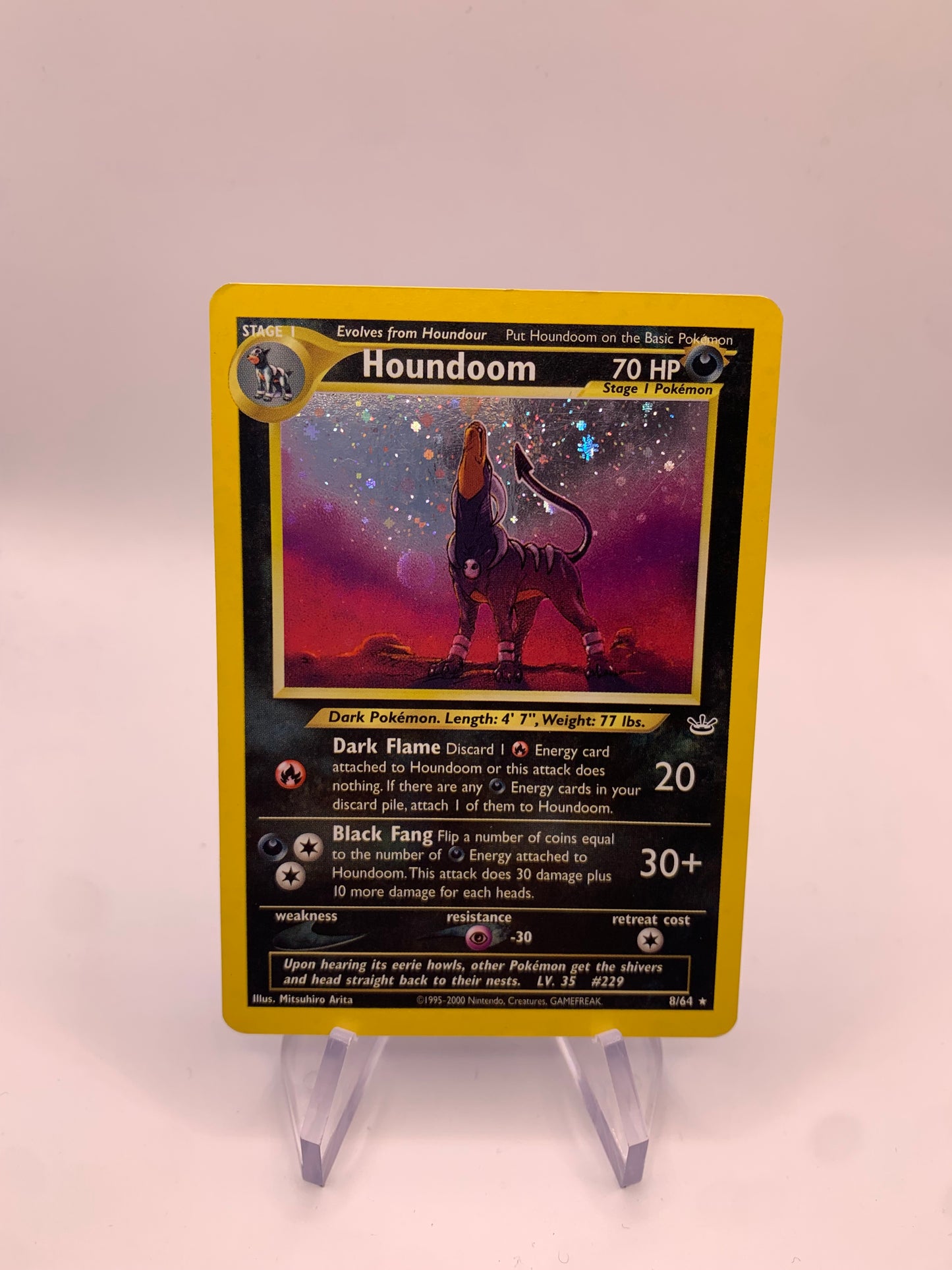 Pokemon Karte Holo Hundemon 8/64 Englisch