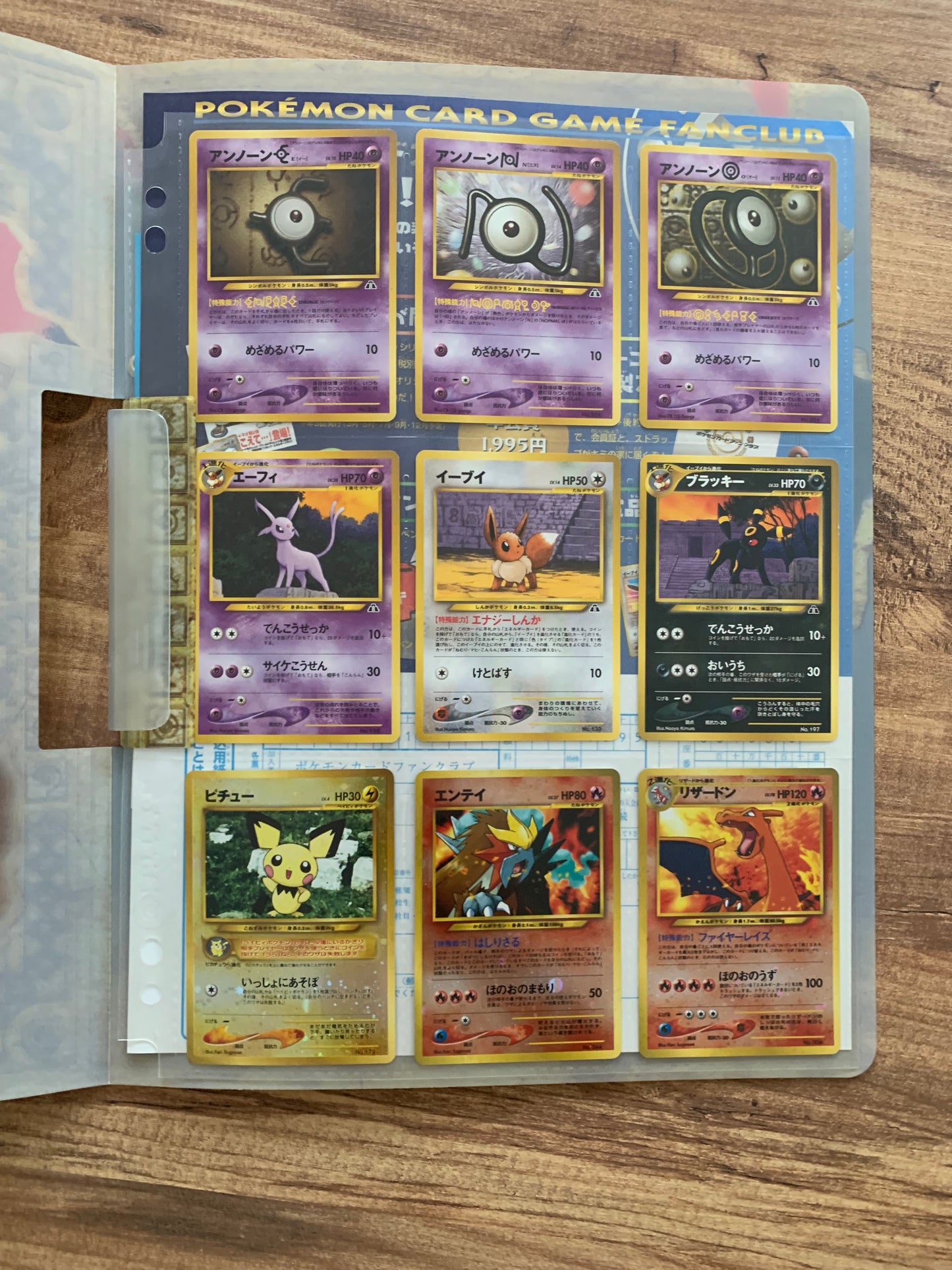 Pokemon Karte Neo File Japanisch