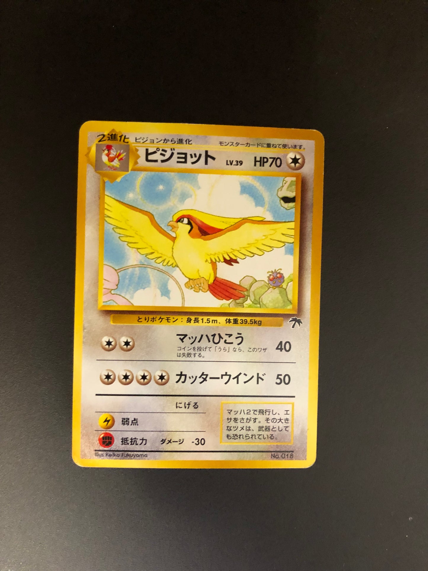 Pokemon Karte Southern Island Pidgeot No.18 Japanisch