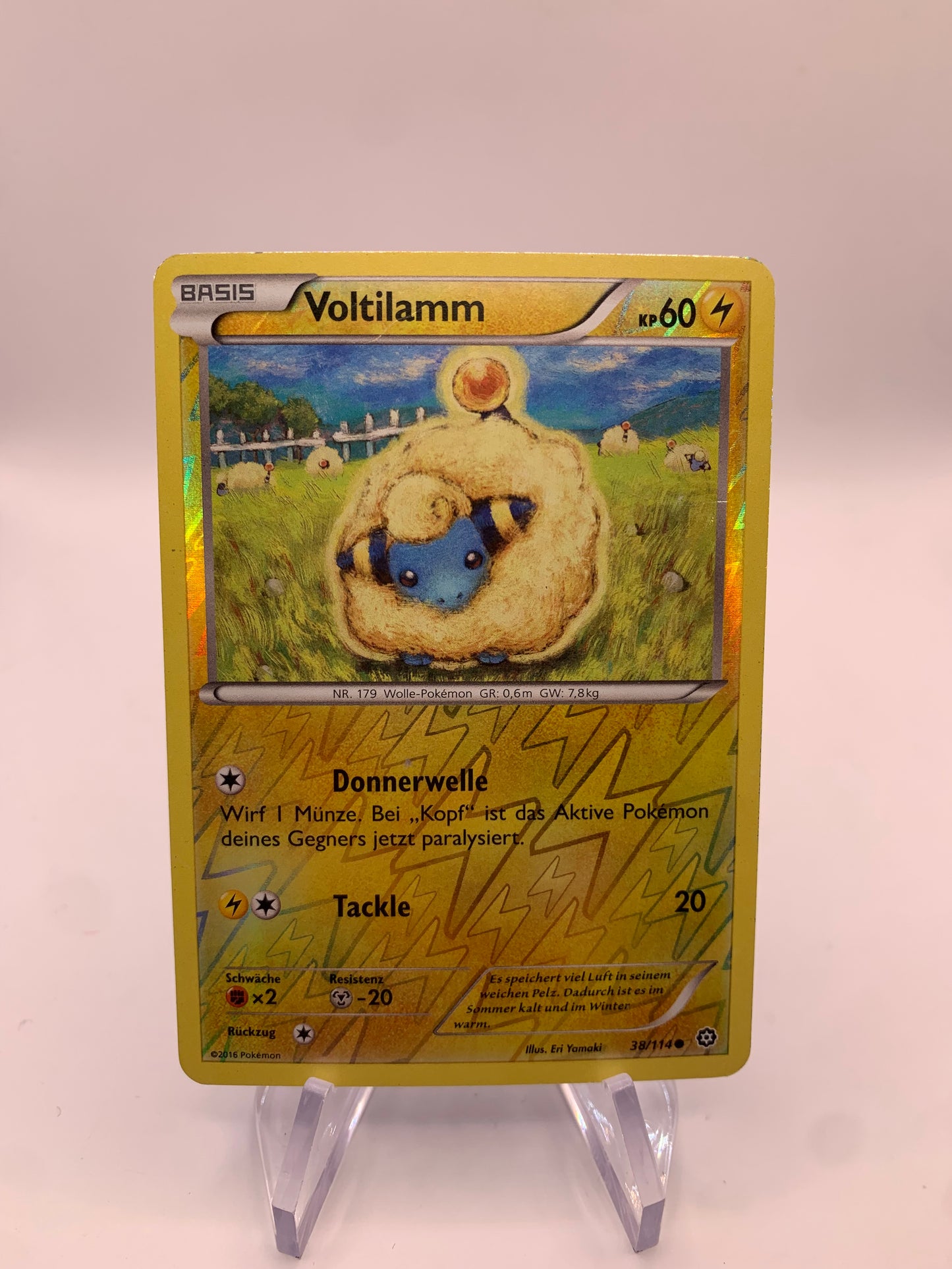 Pokemon Karte Revers Voltilamm 38/114 Deutsch