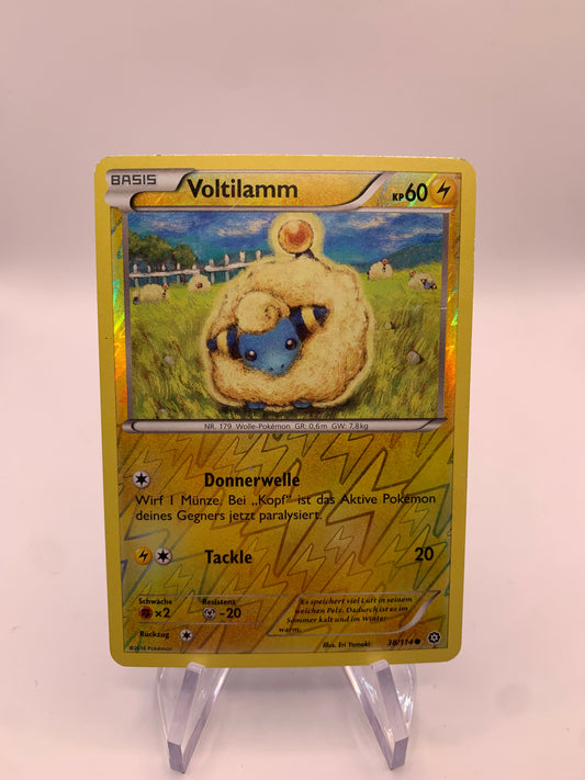 Pokemon Karte Revers Voltilamm 38/114 Deutsch