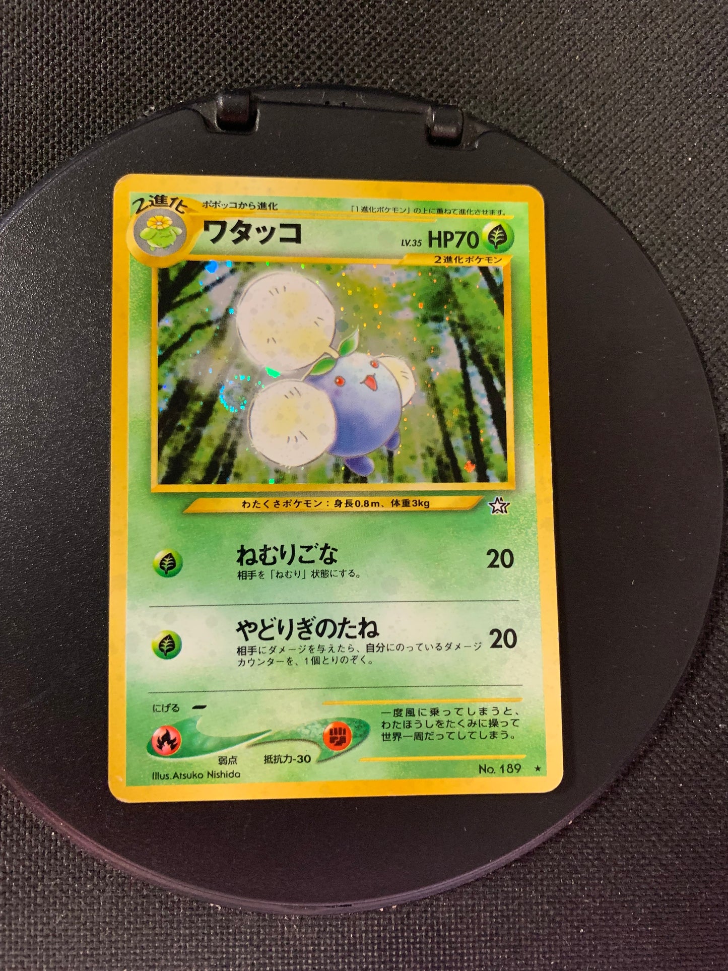 Pokémon Karte Holo Papungha No.189 japanisch