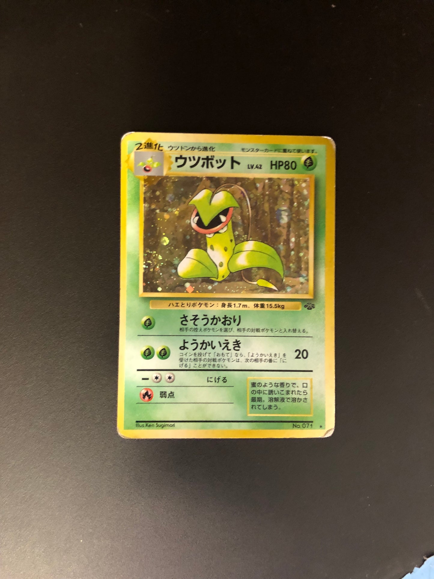 Pokemon Karte Holo Sarzenia No.71 Japanisch