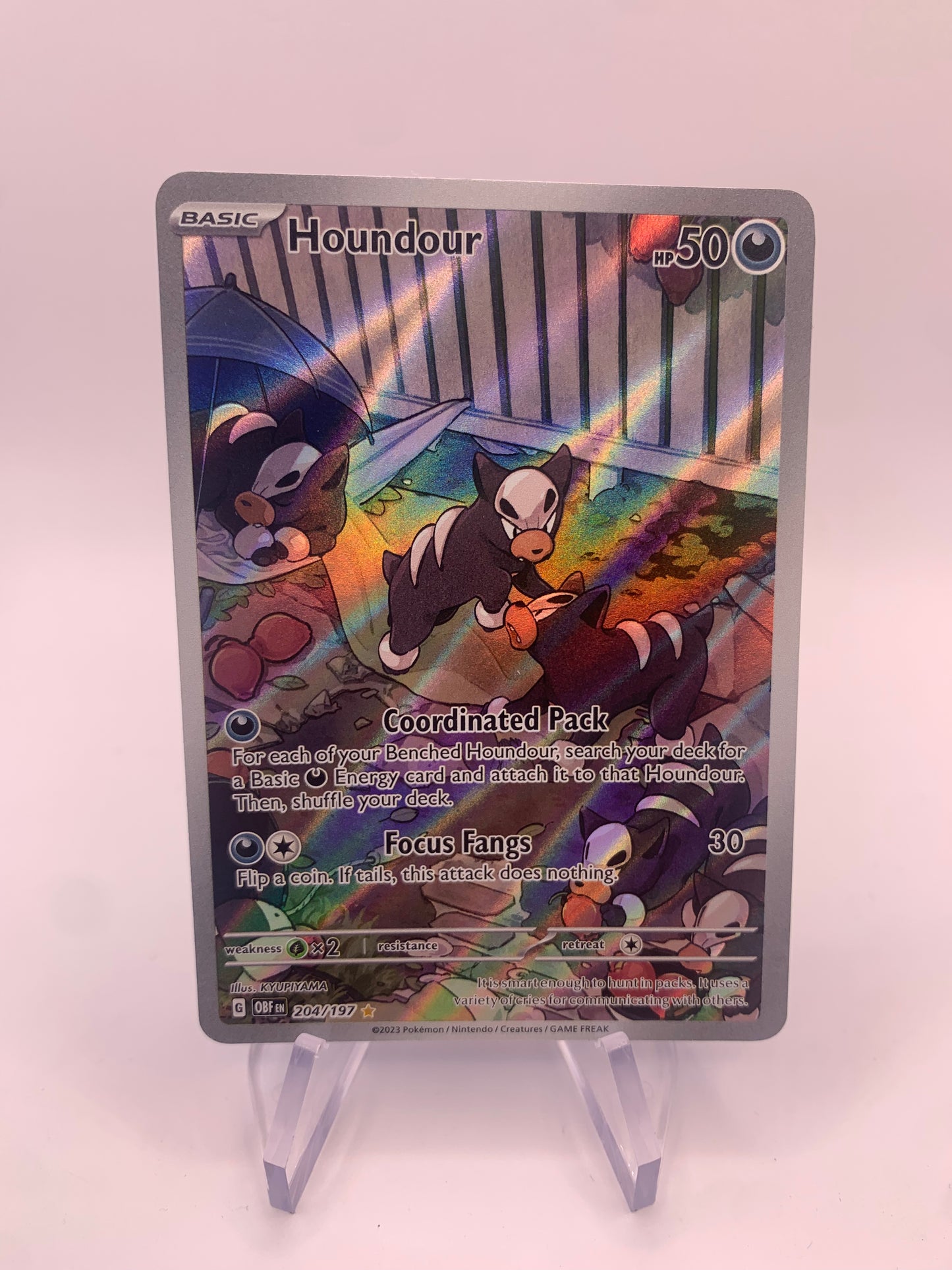 Pokemon Karte Art-Rare Hunduster 204/197 Englisch