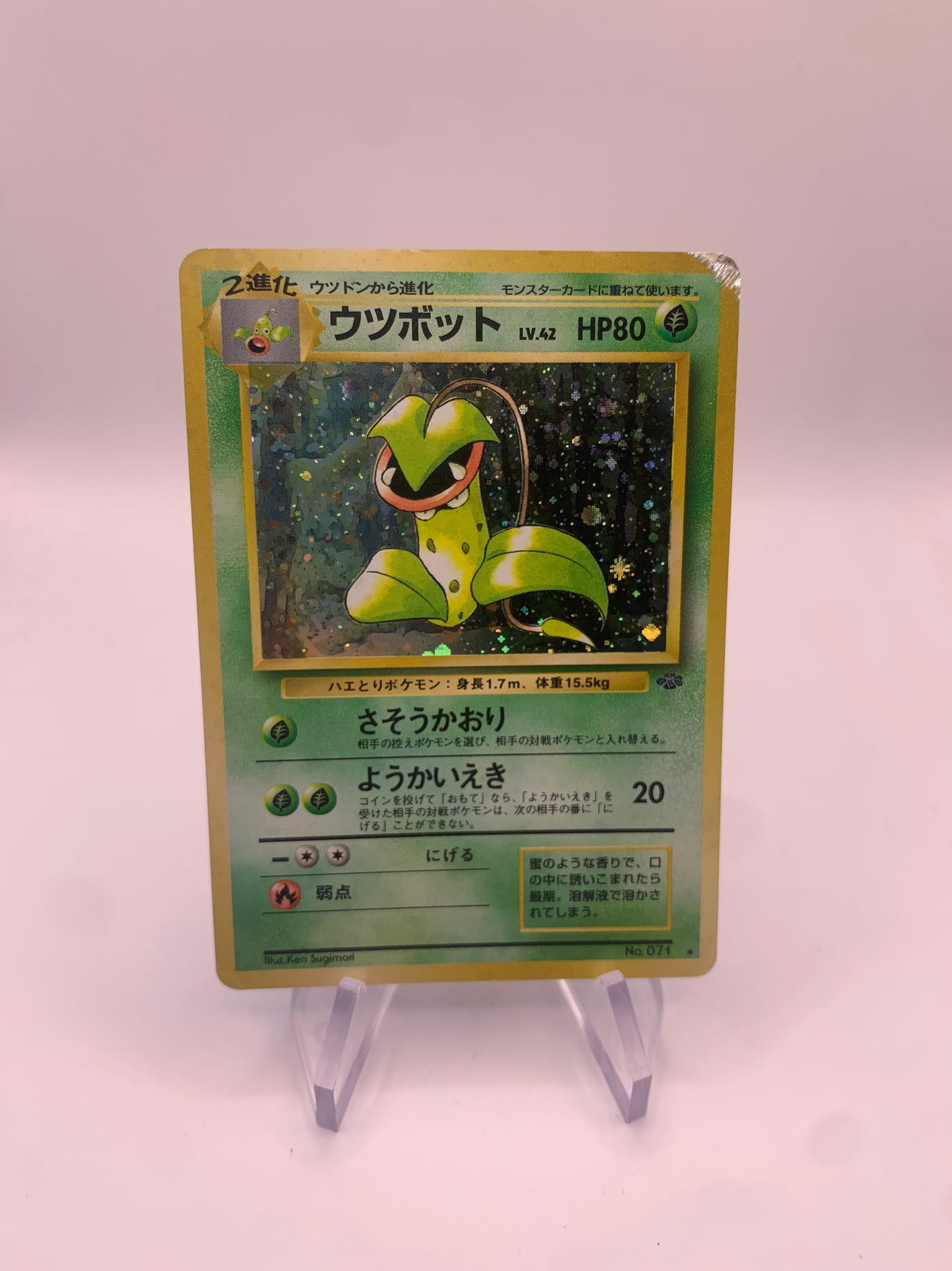 Pokemon Karte Holo Sarzenia No.71 Japanisch