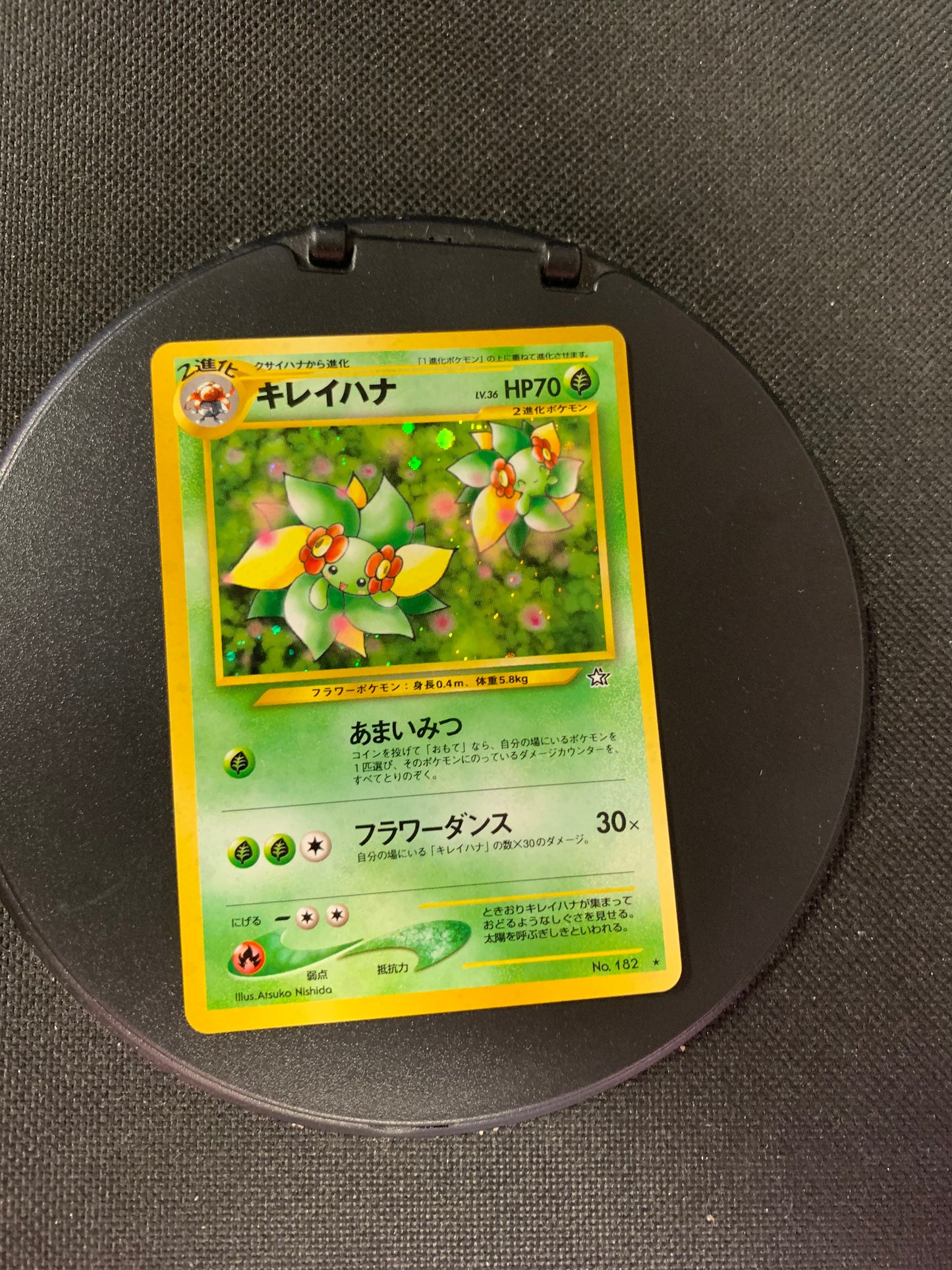 Pokemon Karte Holo Blubella No.182 Japnisch