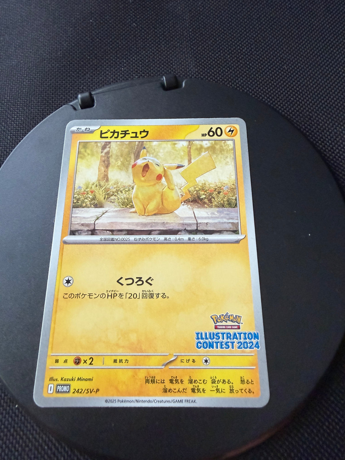 Pokemon Karte Illustration Contest 2024 Pikachu 242/SV-P Japanisch