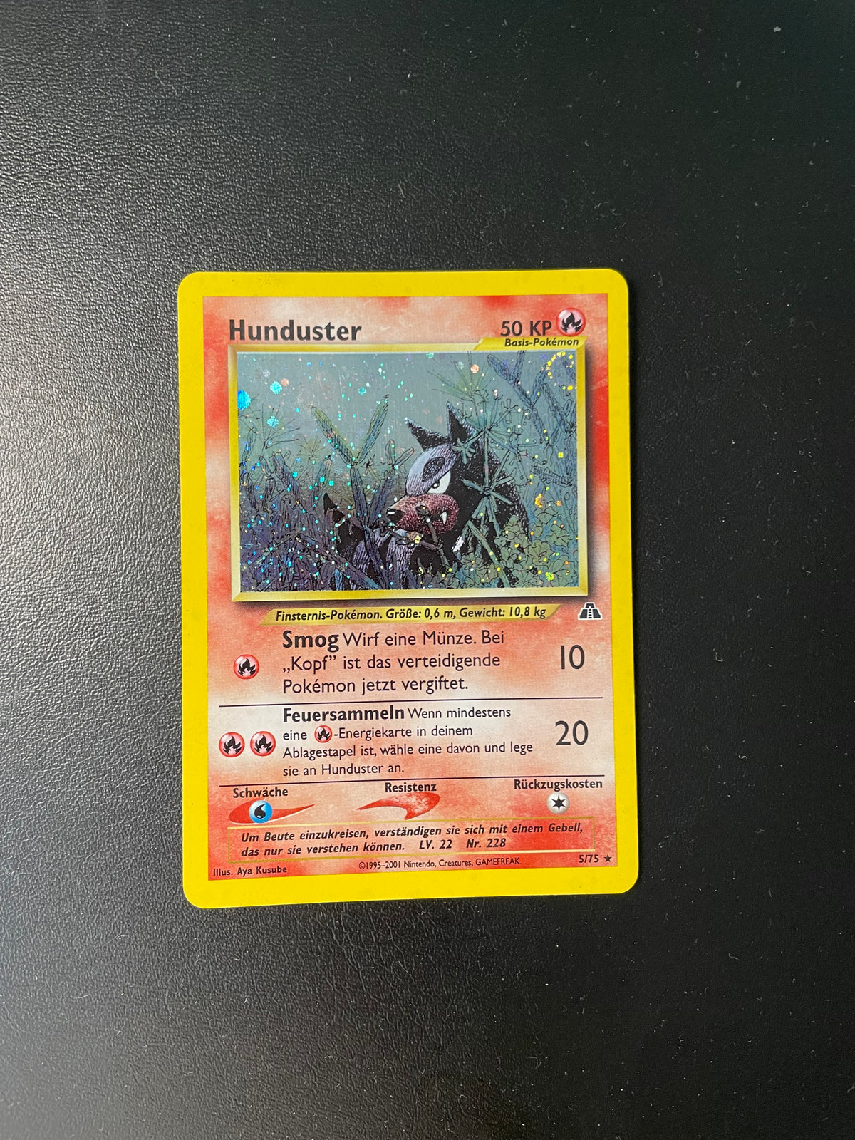 Pokemon Karte Holo Hunduster 5/75 Deutsch