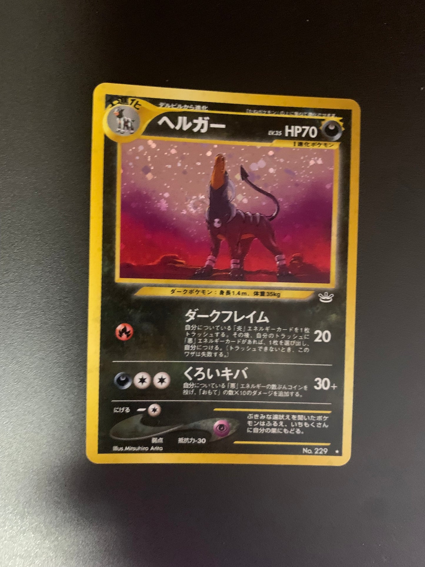 Pokemon Karte Holo Hundemon No.229 Japanisch