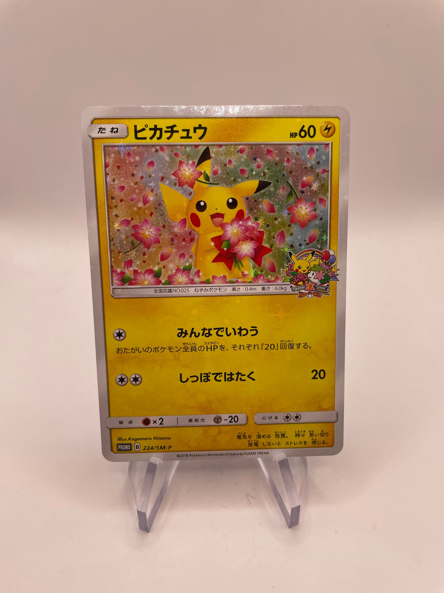 Pokemon Karte Promo Holo Pikachu 224/SM-P Japanisch