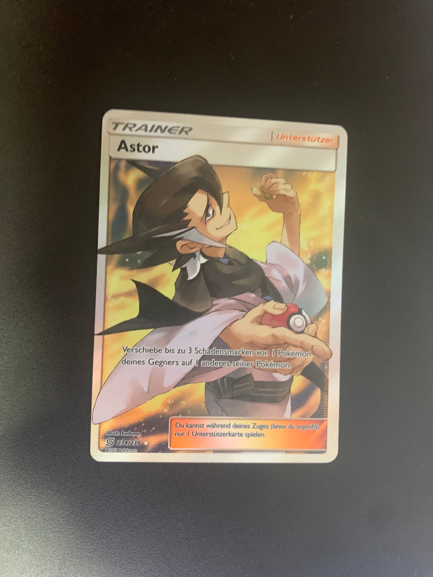 Pokemon Karte Trainer Fullart Astor 234/236 Deutsch