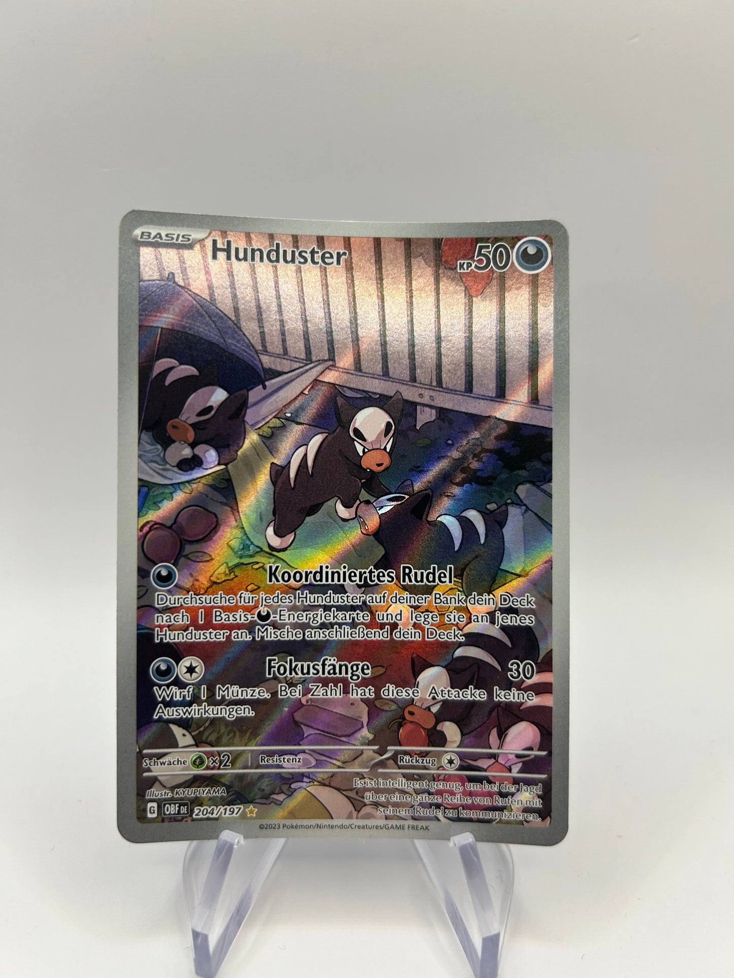 Pokemon Karte Art-Rare Hunduster 204/197 Deutsch