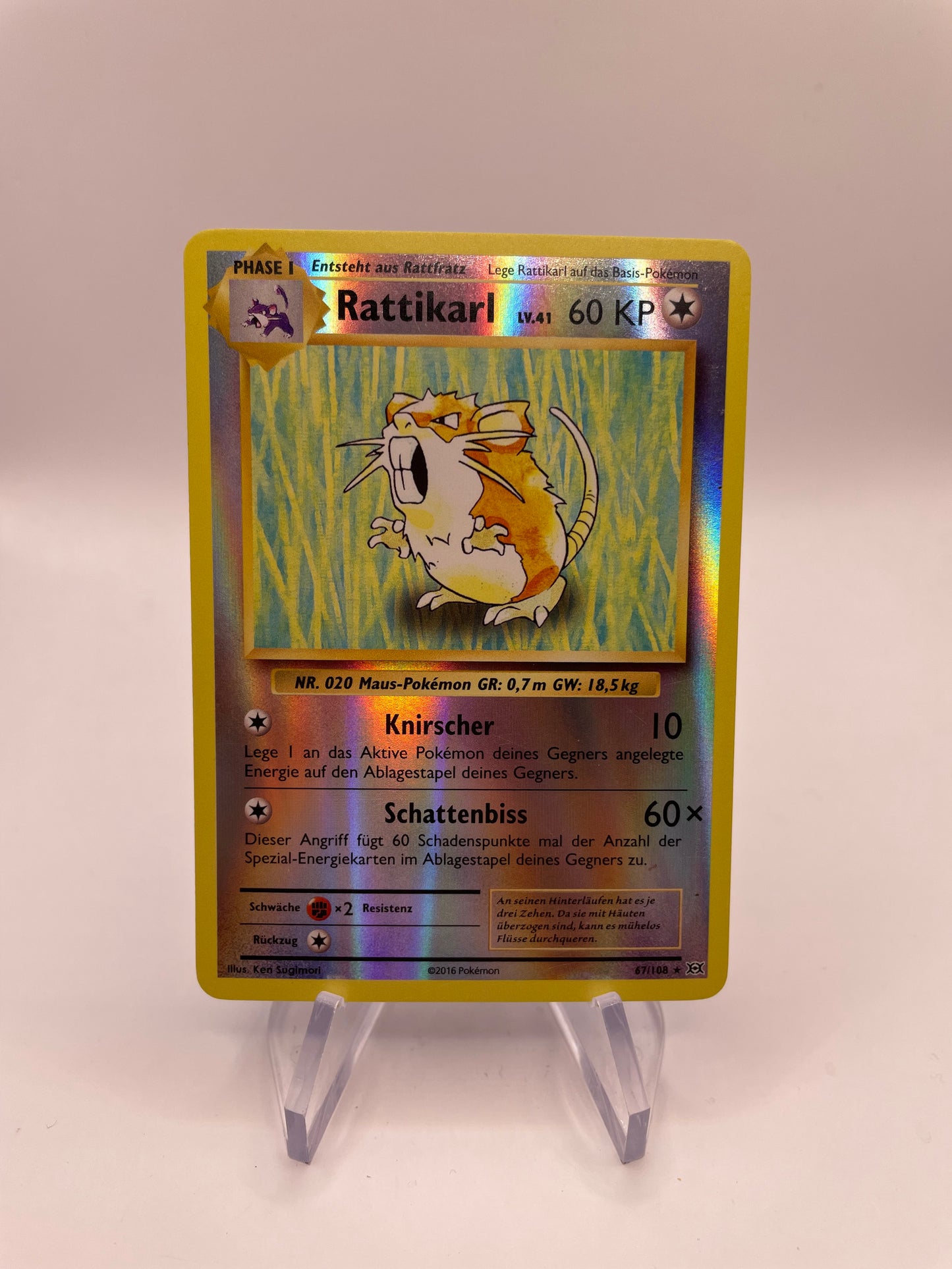 Pokemon Karte Revers Rattikarl 67/108 Deutsch