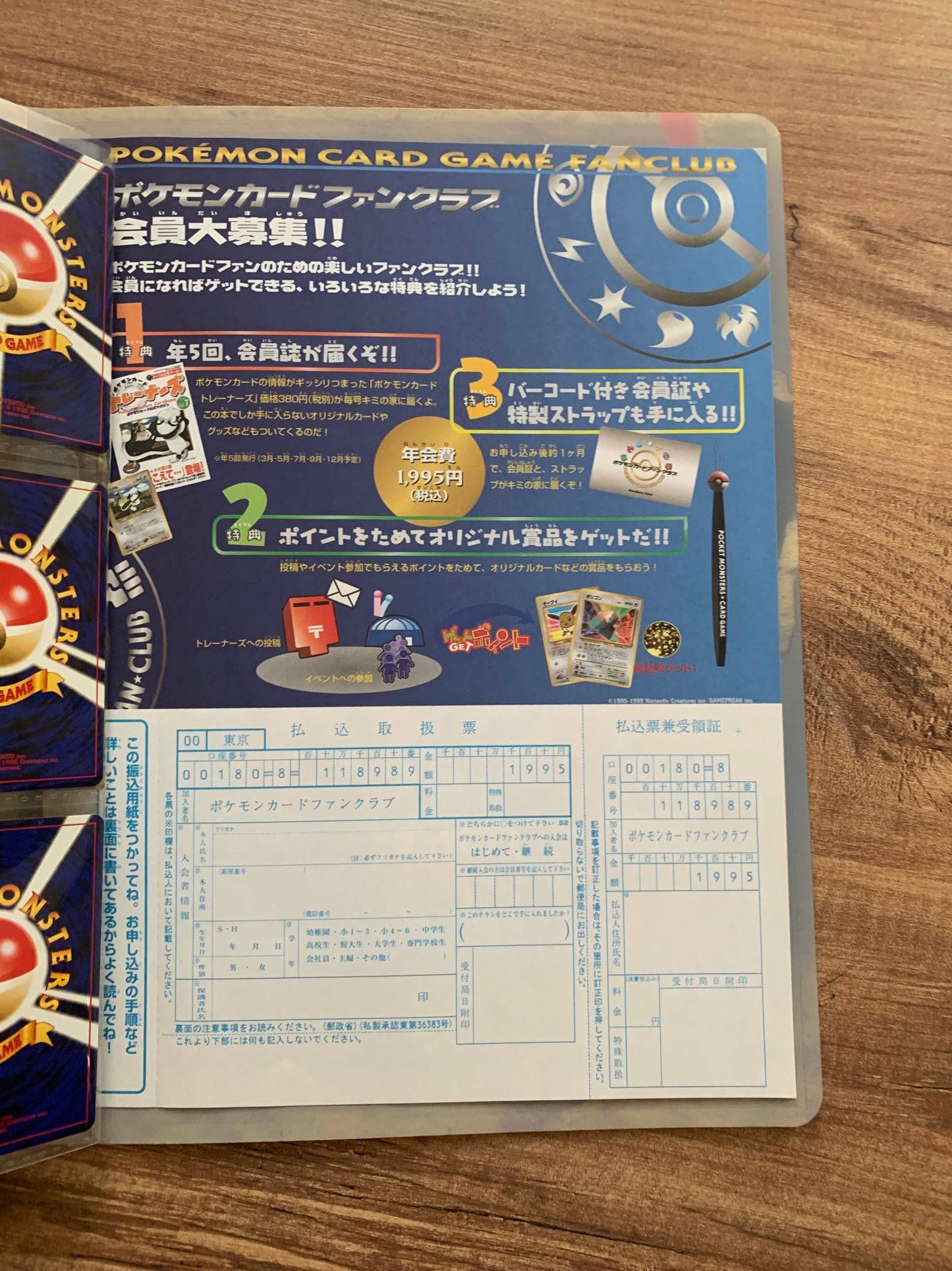 Pokemon Karte Neo File Japanisch