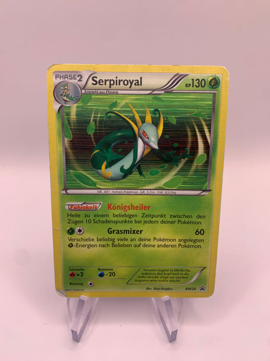 Pokemon Karte Holo Promo Serpiroyal BW20 Deutsch