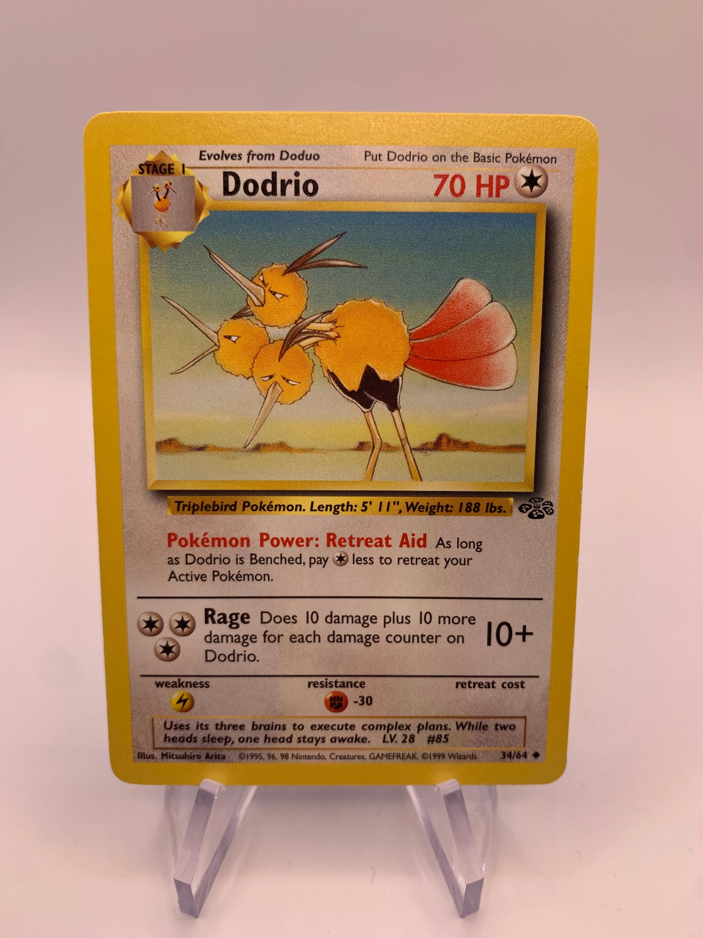 Pokemon Karte Dodrio 34/64 Jungel Englisch