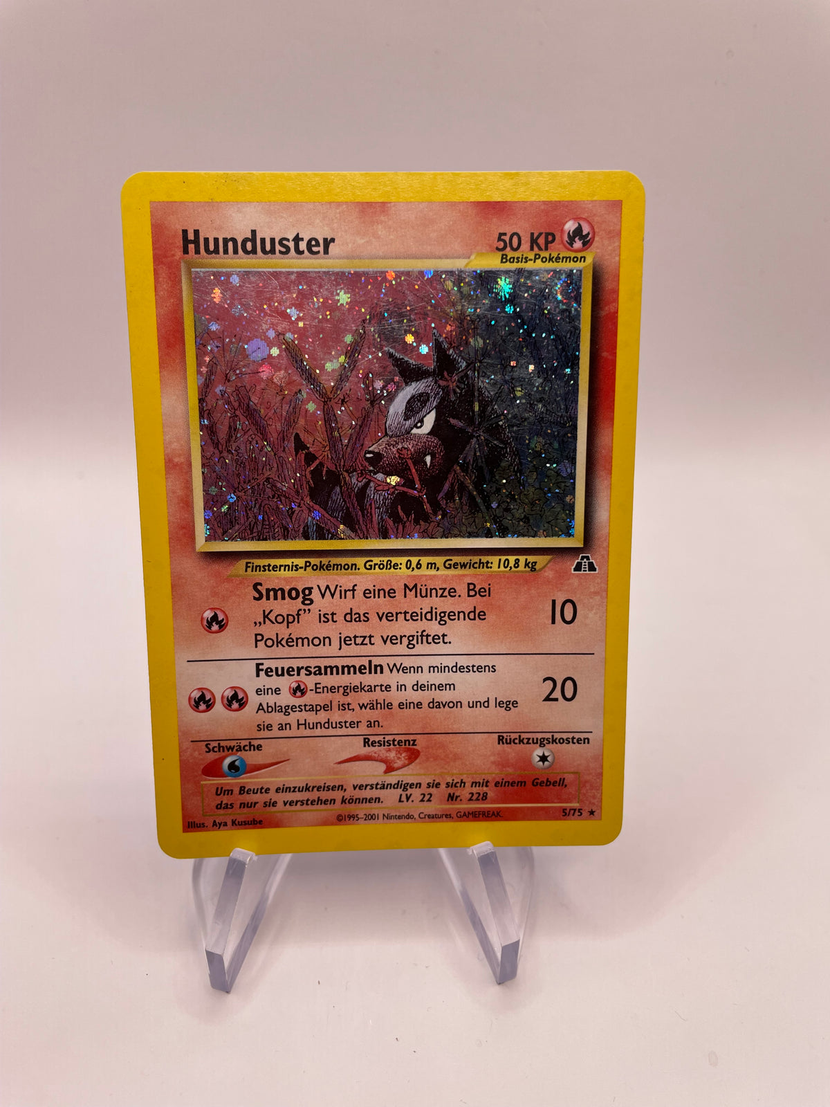 Pokemon Karte Holo Hunduster 5/75 Deutsch