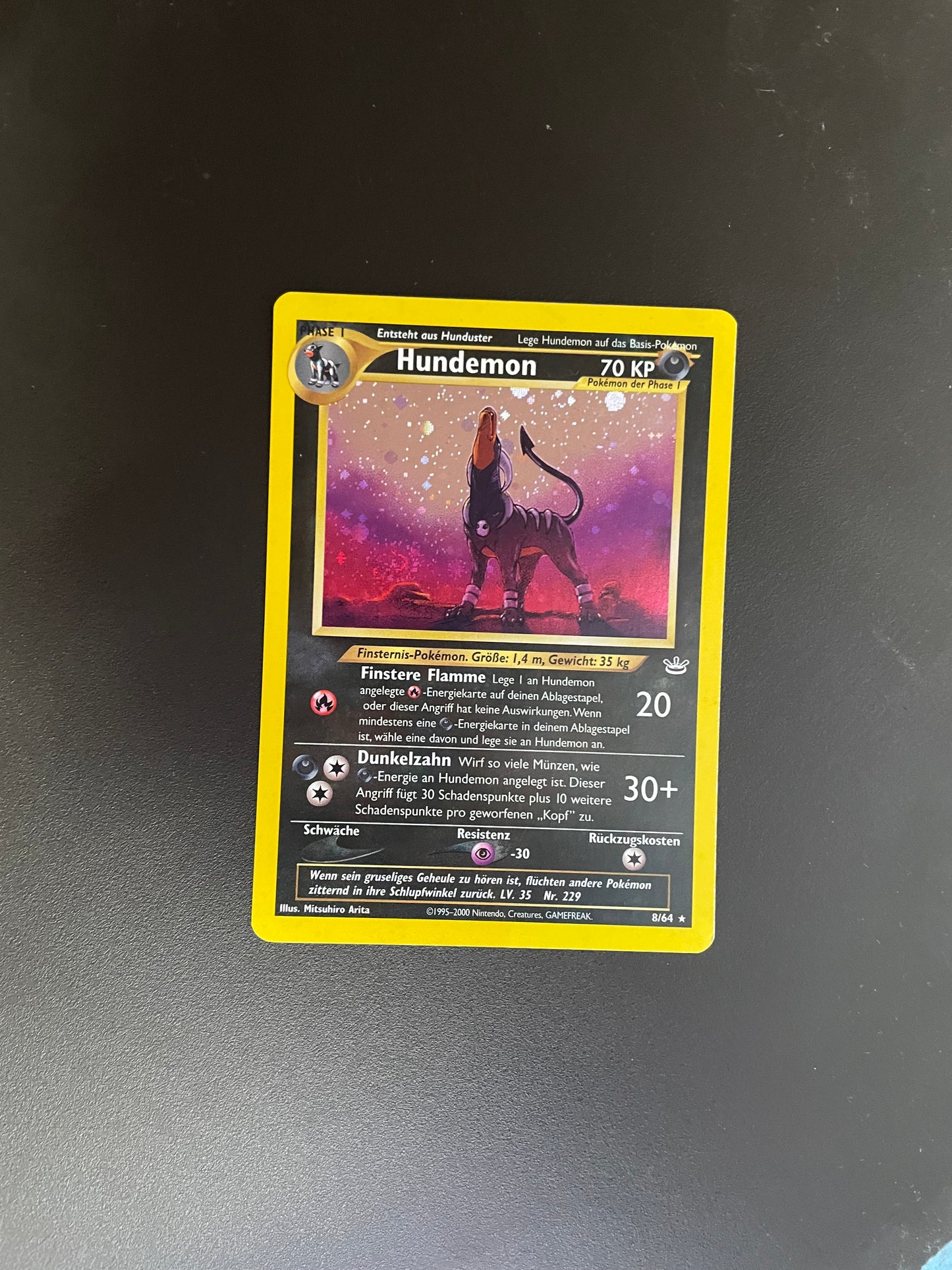 Pokemon Karte Holo Hundemon 8/64 Englisch