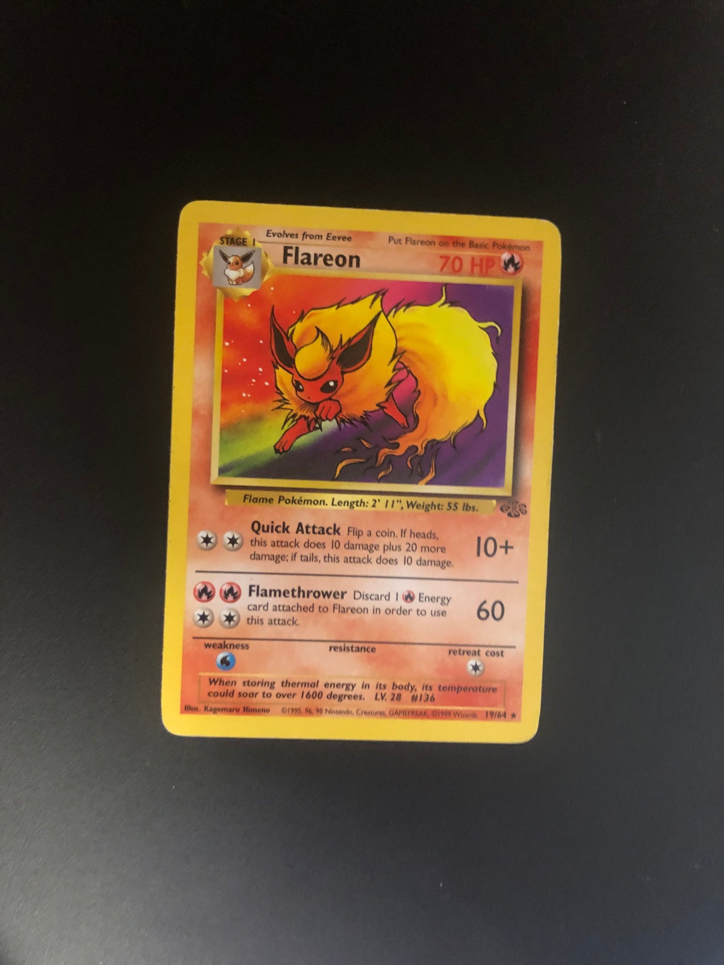 Pokemon Karte Jungel Flamara 19/64 Englisch