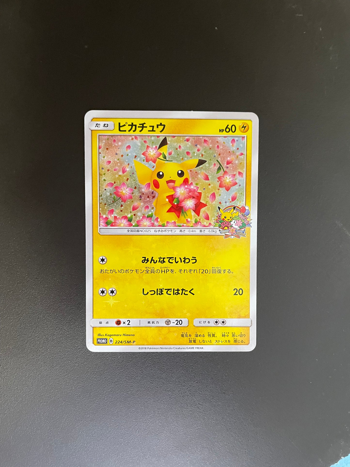 Pokemon Karte Promo Holo Pikachu 224/SM-P Japanisch