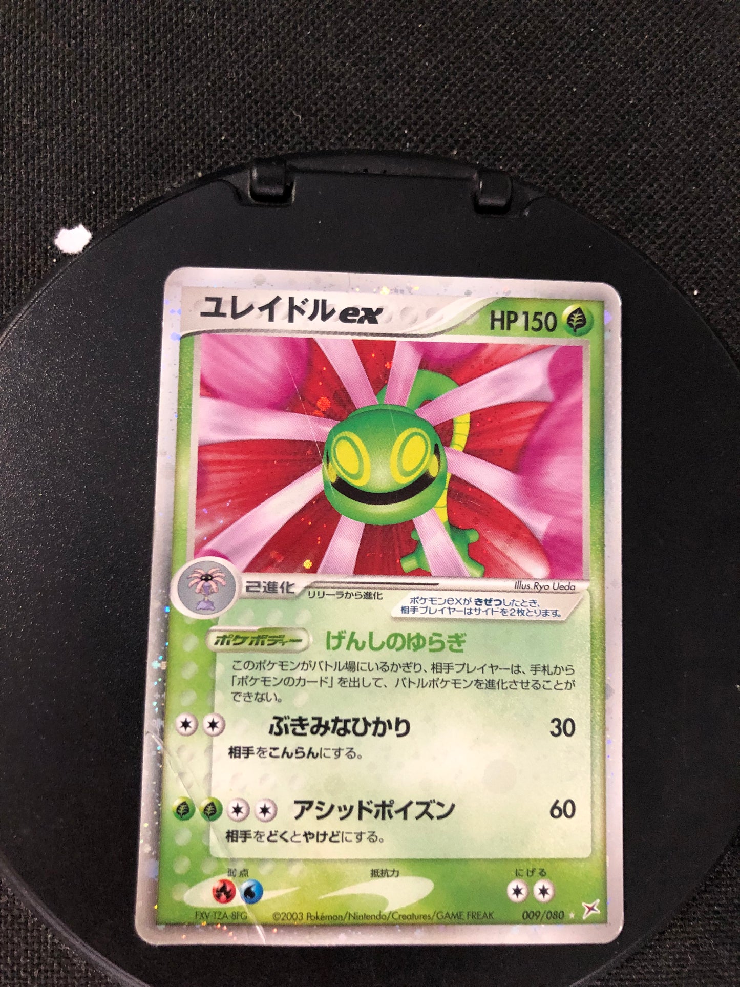 Pokemon Karte Ex Wielie 9/80 Japanisch