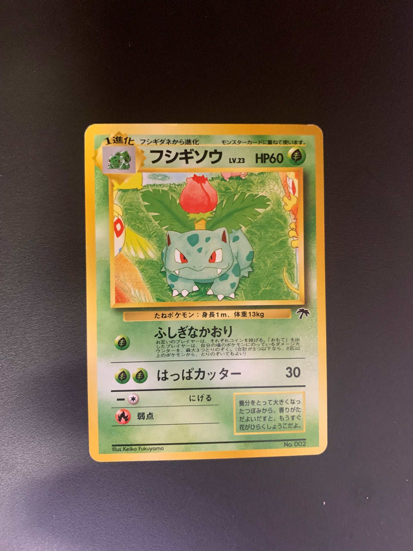 Pokemon Karte Southern Island Bisaknosp No.2 Japanisch