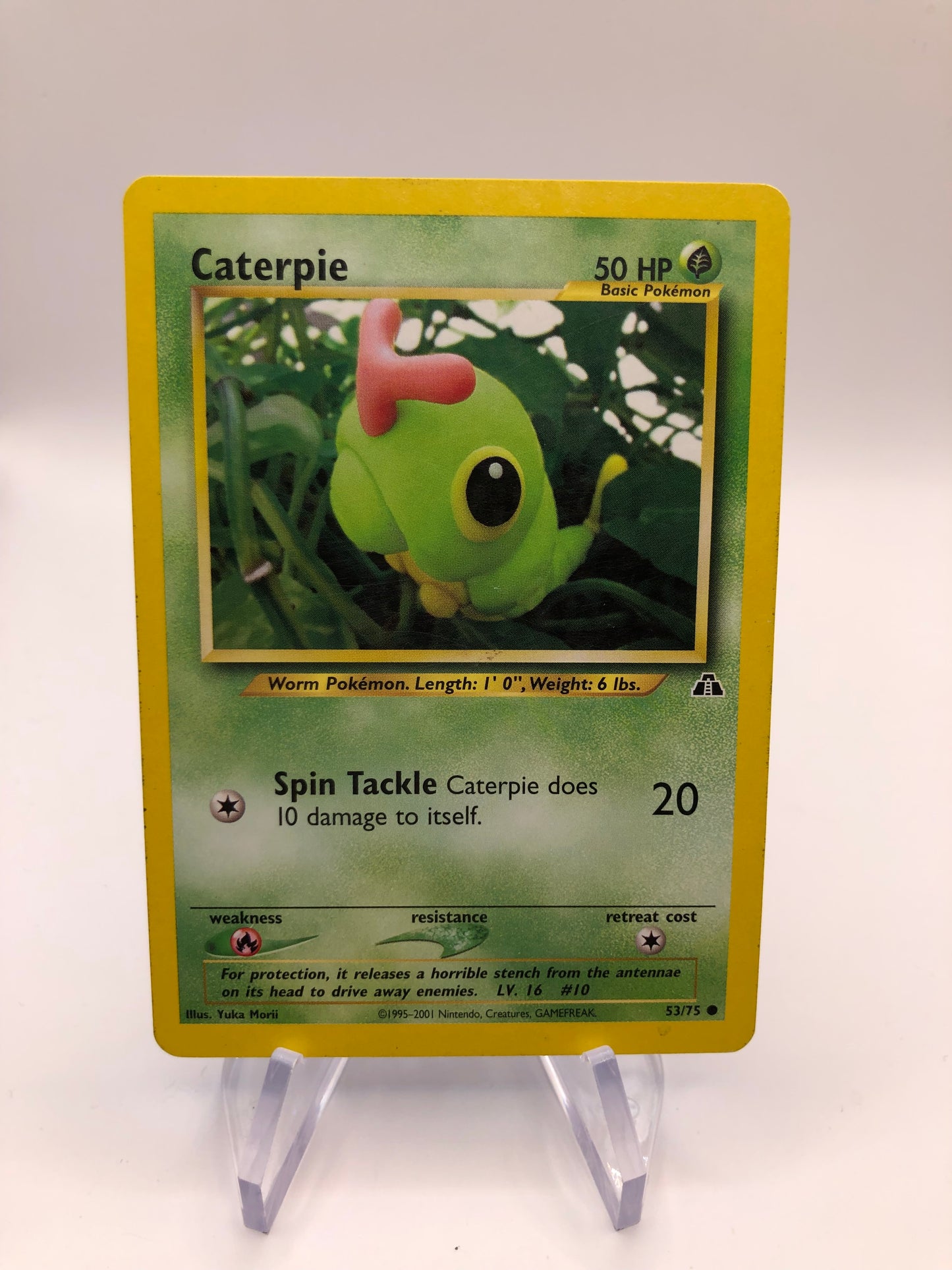Pokemon Karte Neo Discovery Caterpie 53/75 Englisch