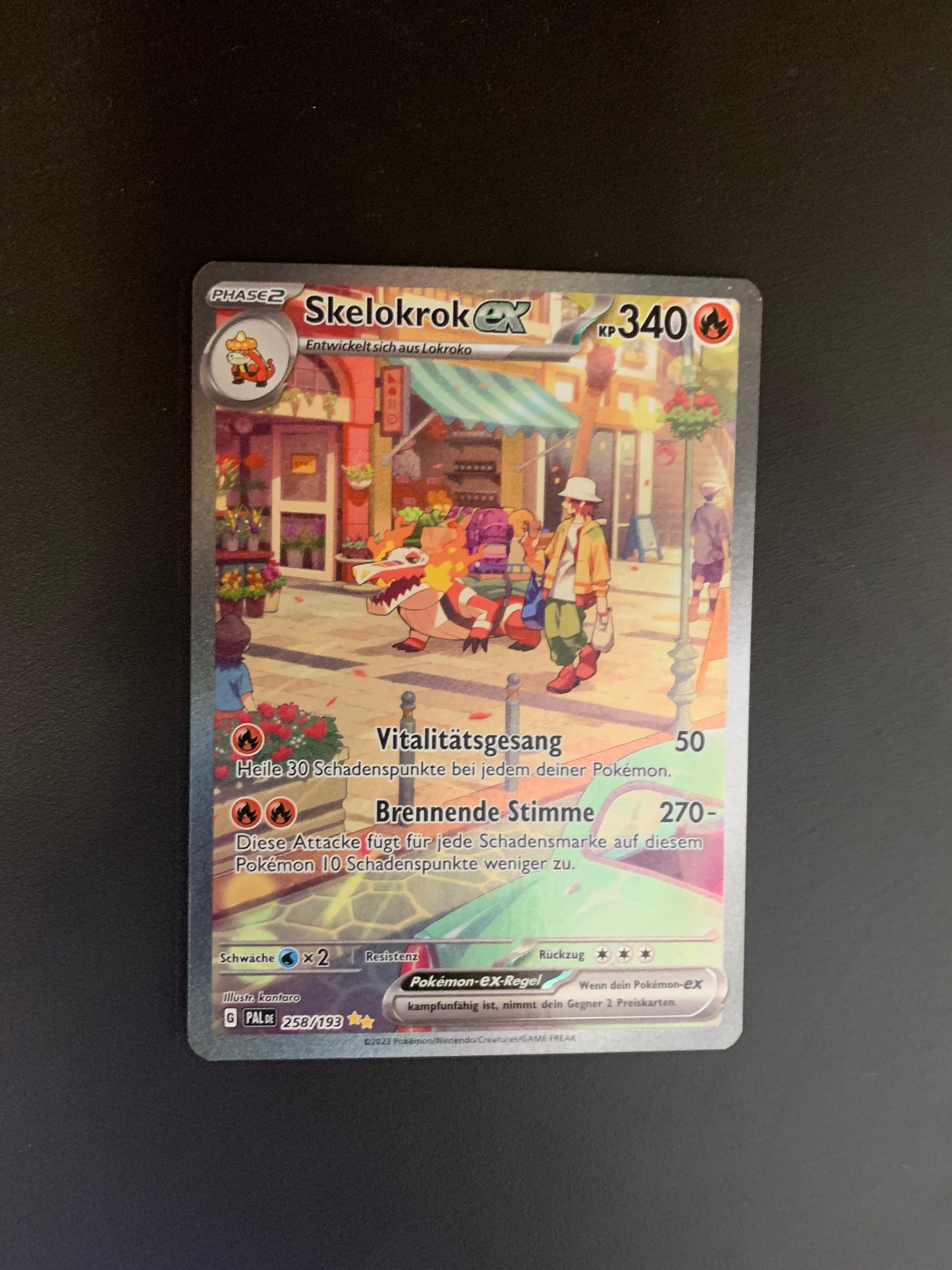 Pokemon Karte ex Alt-Art Skelokrok 258/193 Deutsch