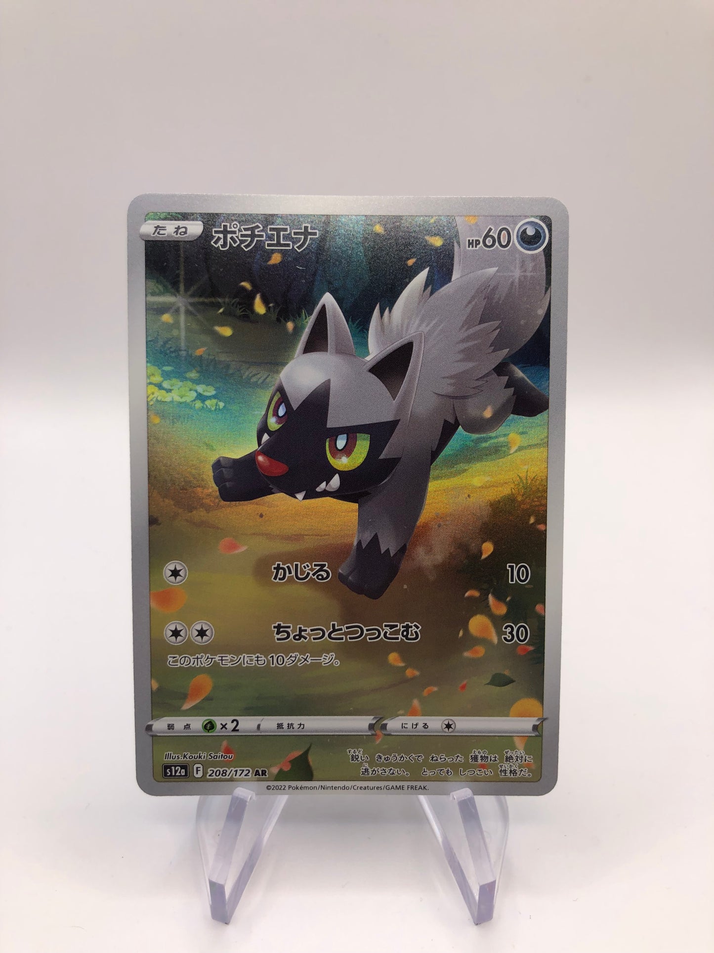 Pokemon Karte Art Rare Fiffyen 208/172 Japanisch