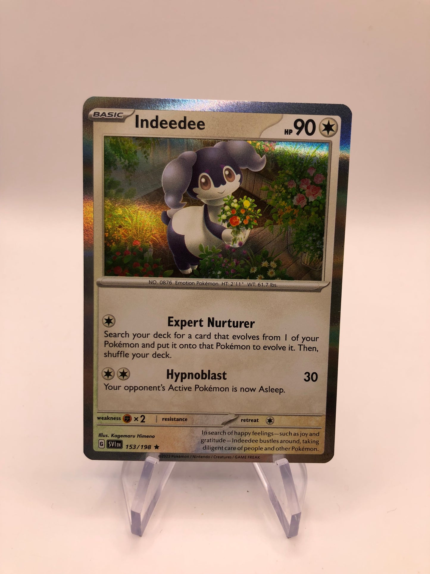 Pokemon Karte Holo Indeedee 153/198 Englisch