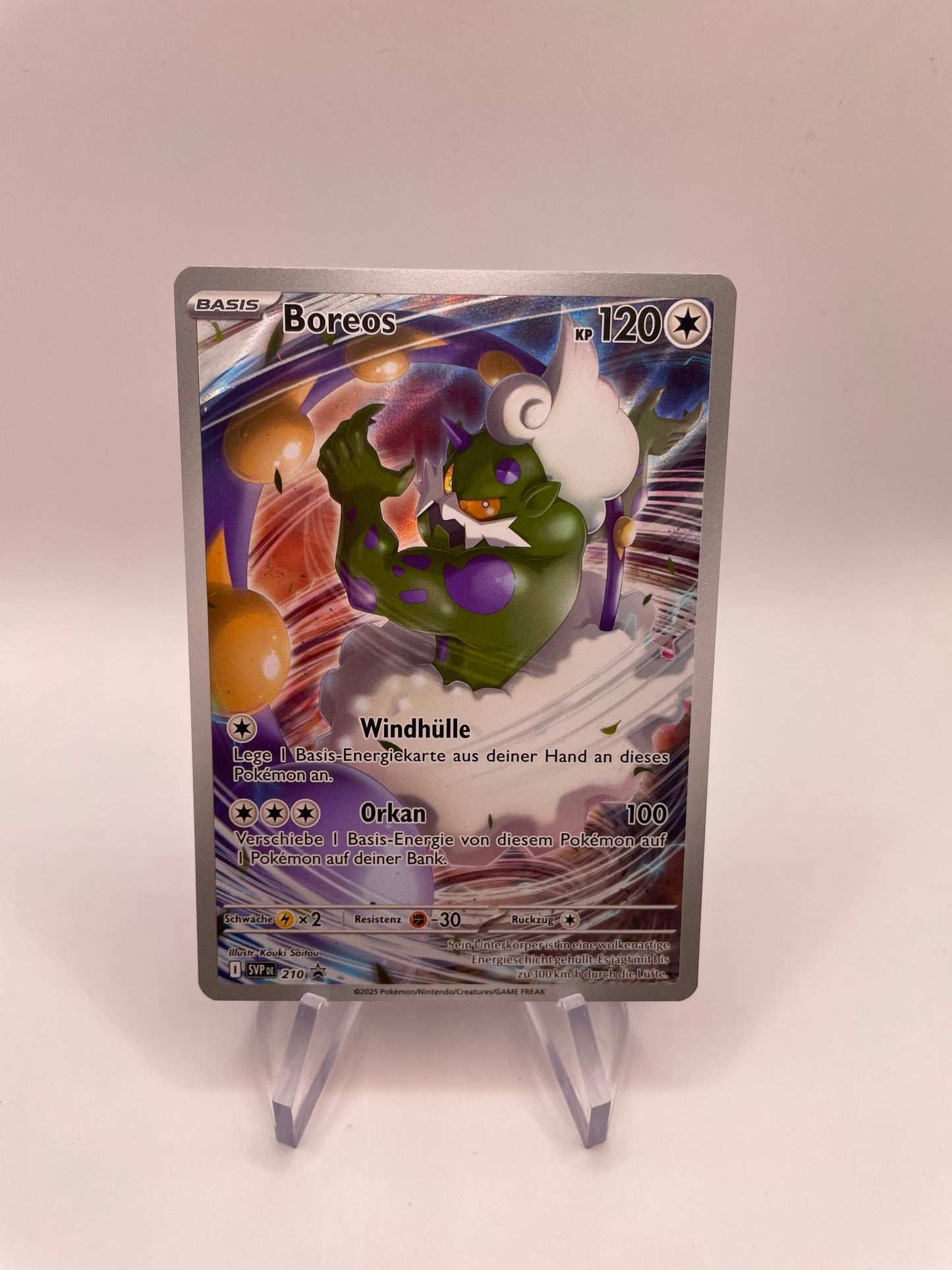 Pokémon Karte Art-Rare Bores Promo 210 Deutsch