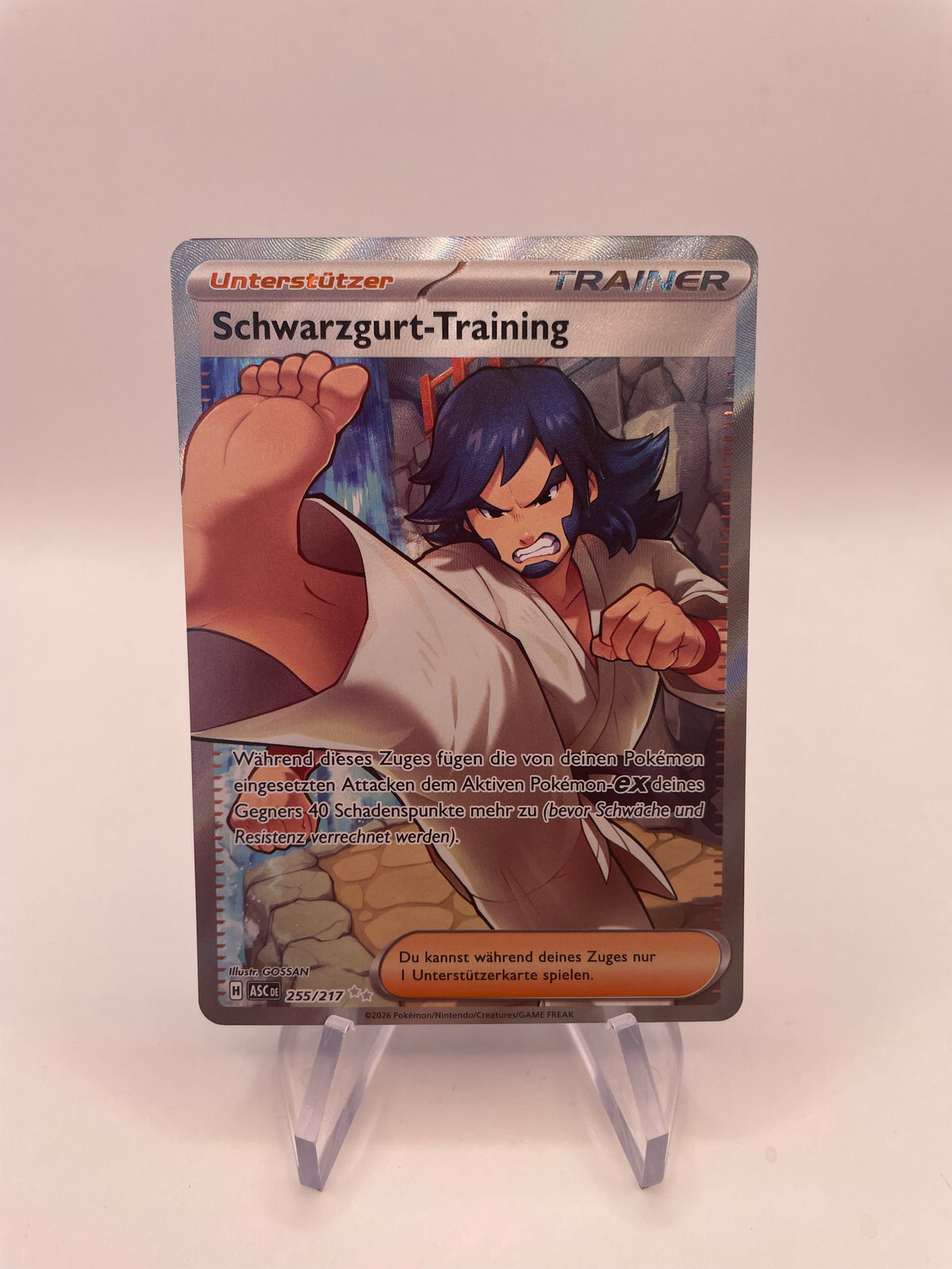 Pokemon Karte Trainer Schwarzgurt-Training 255/217 Deutsch