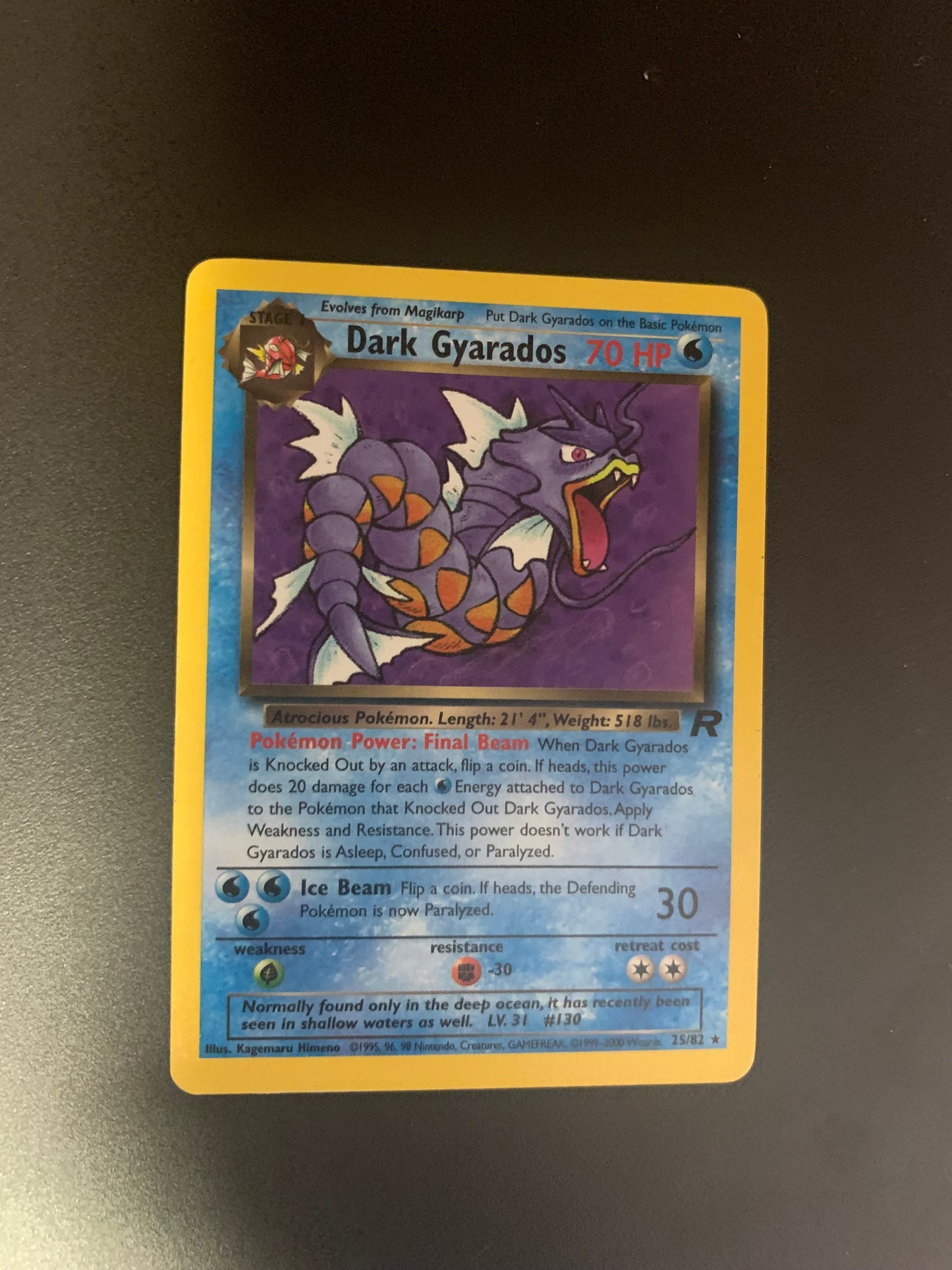 Pokemon Karte Dunkles Garados 25/82 Englisch