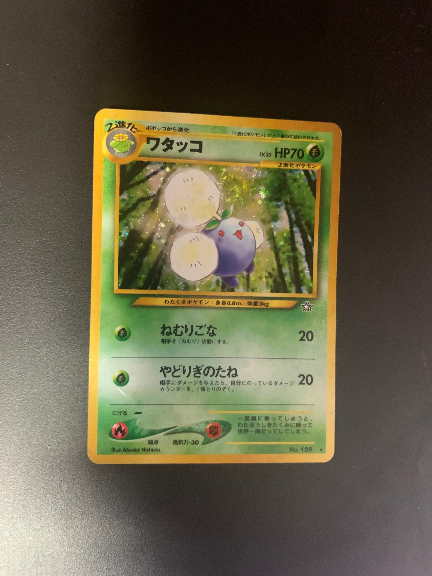 Pokémon Karte Holo Papungha No.189 japanisch