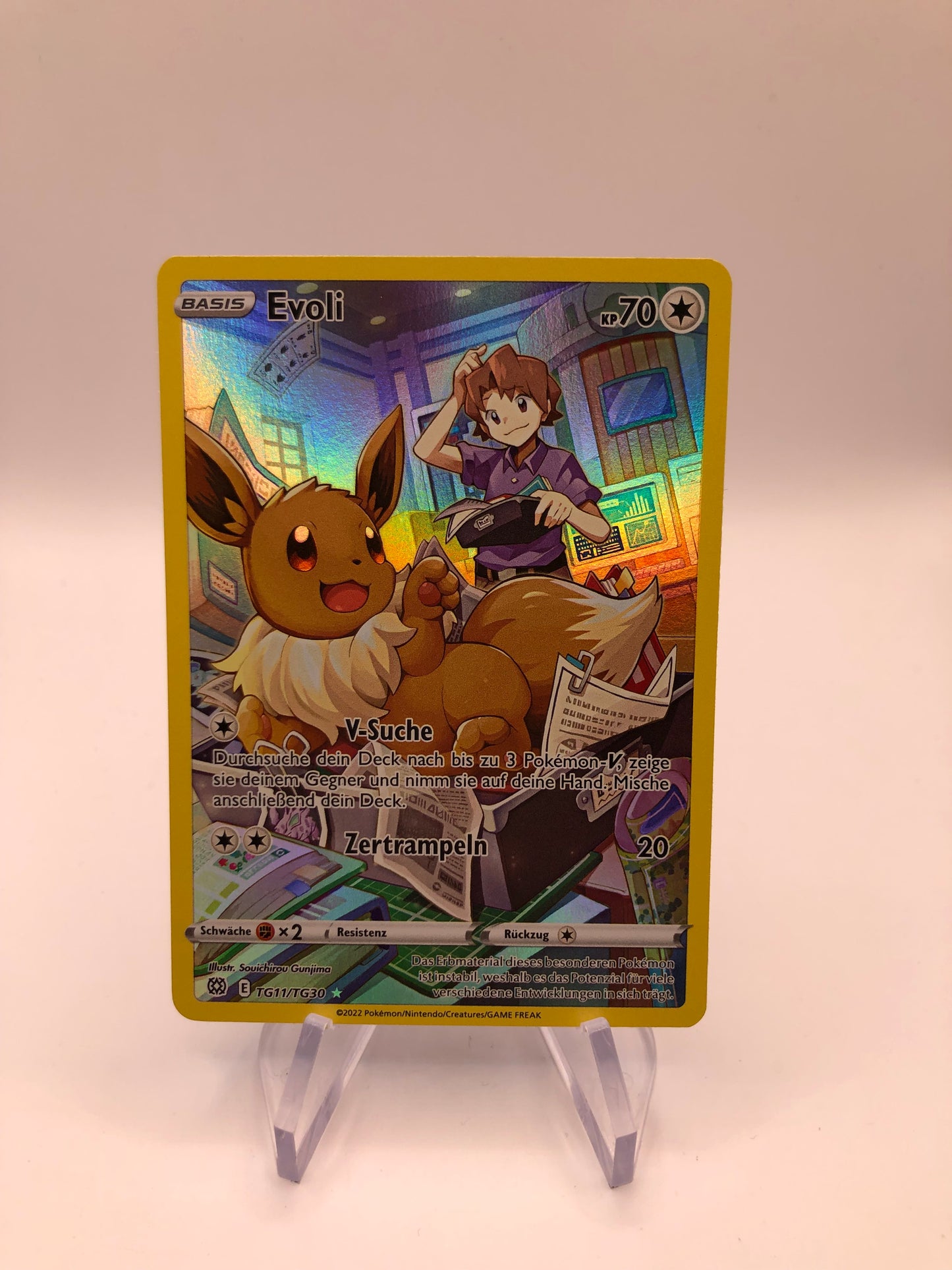 Pokemon Karte Art-Rarw Evoli TG11/TG30 Deutsch