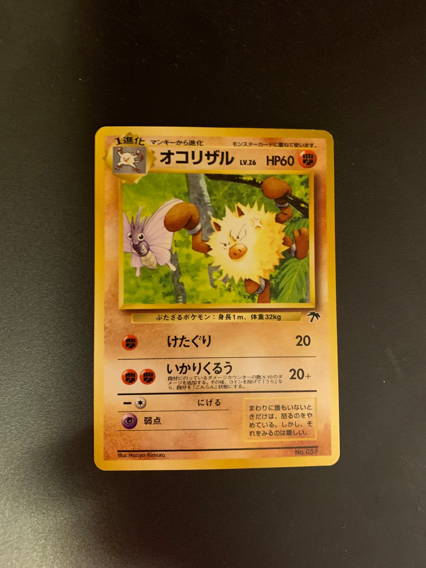 Pokemon Karte Souther Island  Rasaff No.57 Japanisch