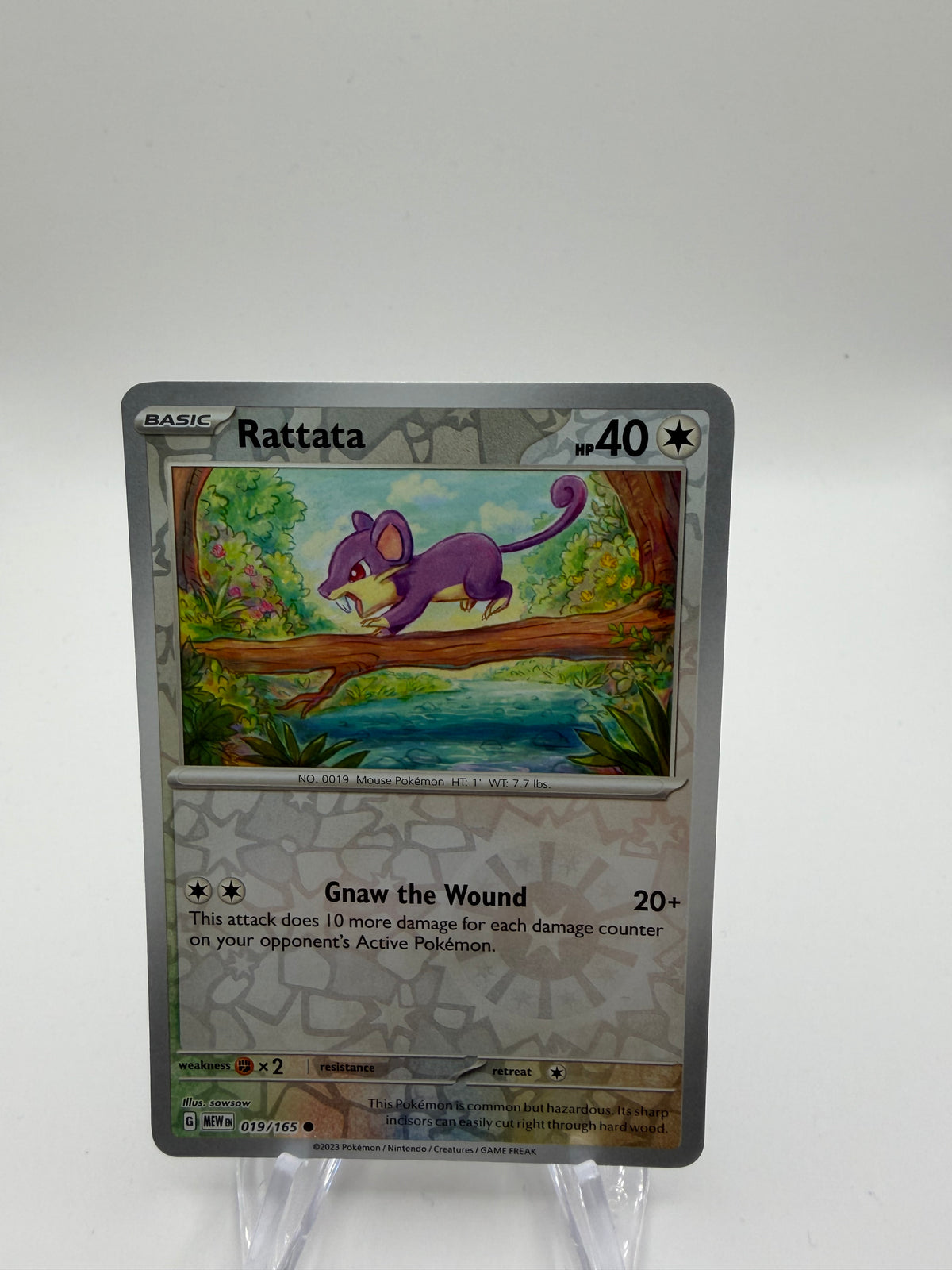 Pokemon Karte Reverse 151 Rattfratz 19/165 Englisch