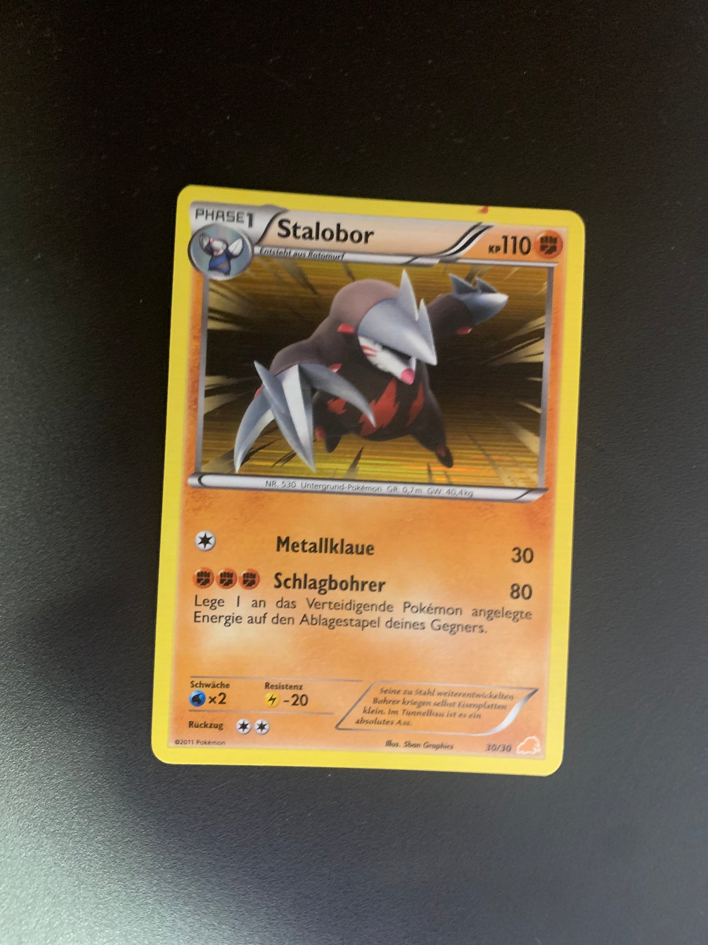 Pokemon Karte Holo Stalobor 30/30 Deutsch