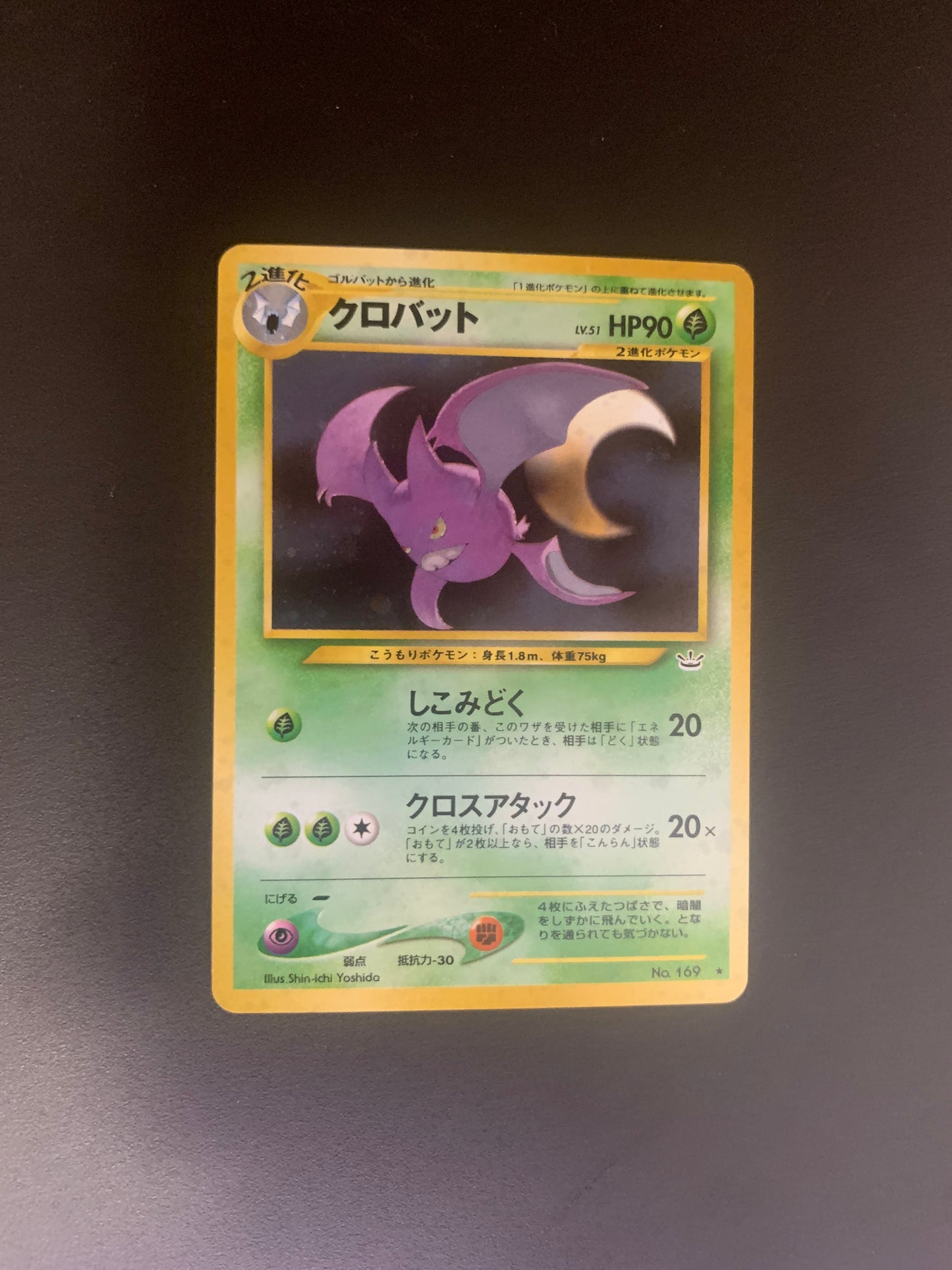 Pokemon Karte Holo Iksbat No.169 Japanisch