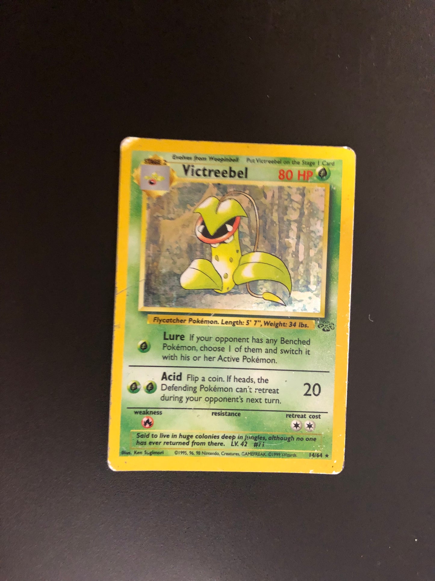 Pokemon Karte Holo Sarzenia 14/64 Englisch