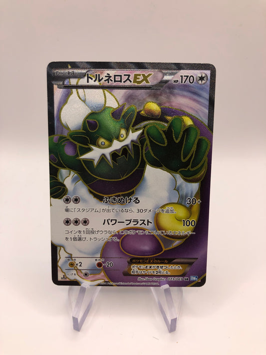 Pokemon Karten Ex Fullart Boreos 73/69 Japanisch