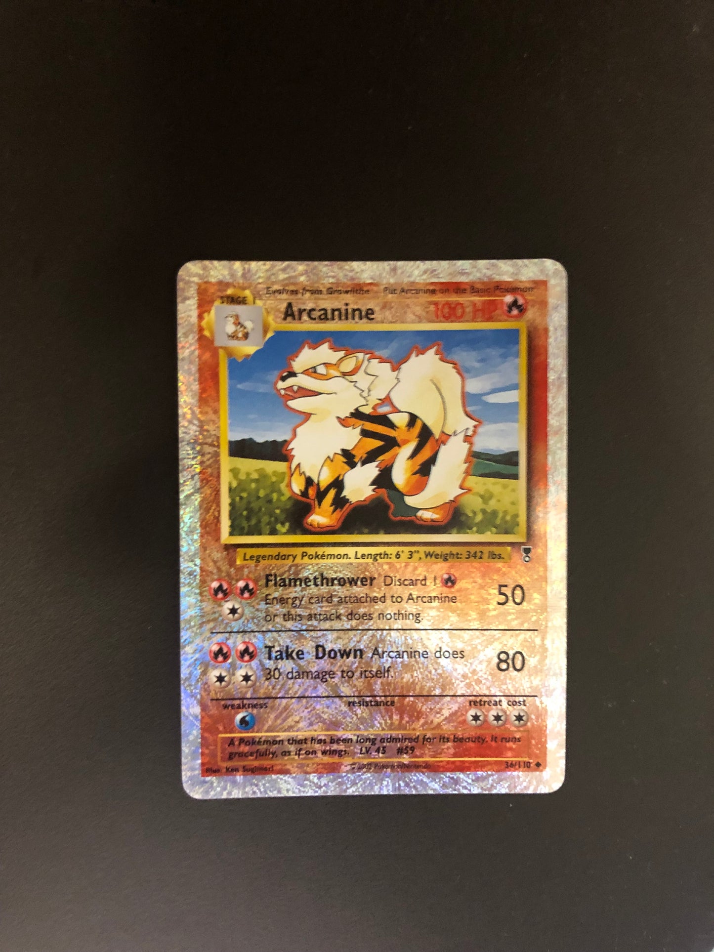 Pokemon Karte Revers Arcanine 36/110 Englisch