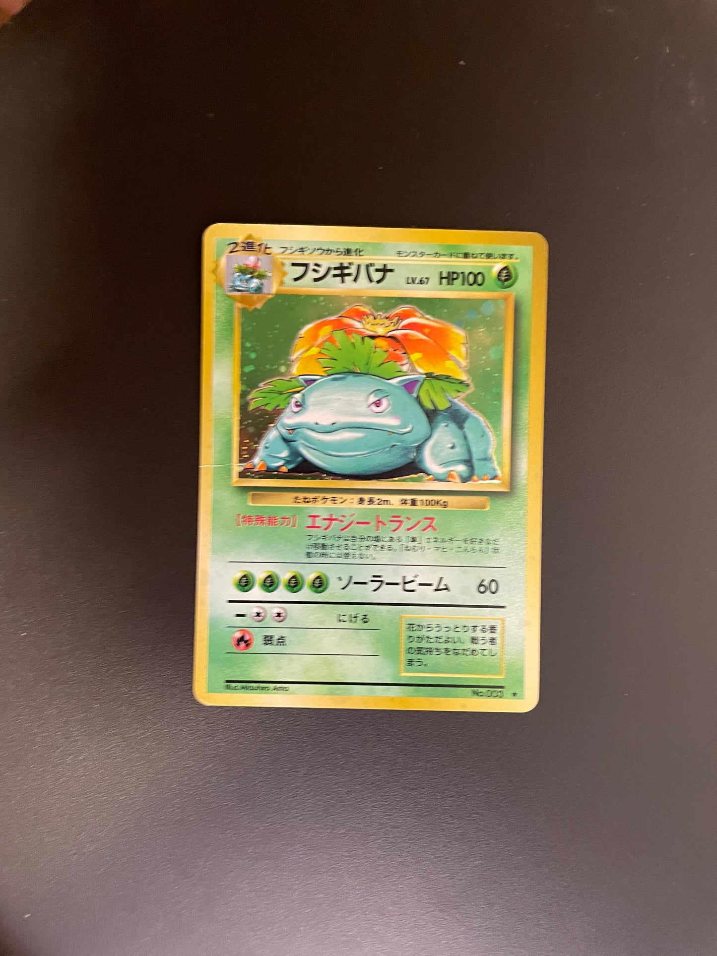 Pokemon Karte Holo Bisaflor No.003 Japanisch