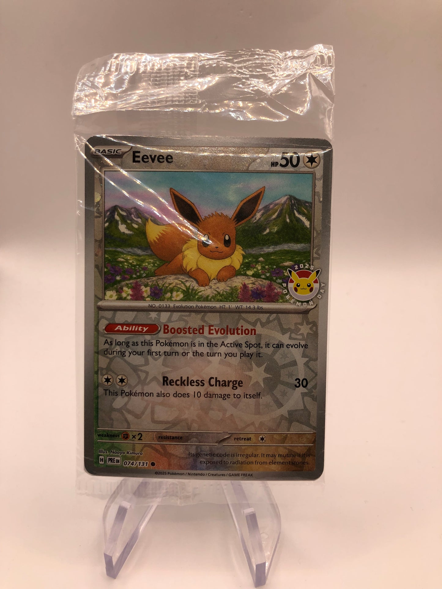 Pokemon Karte Revers Evoli 74/131 Englisch