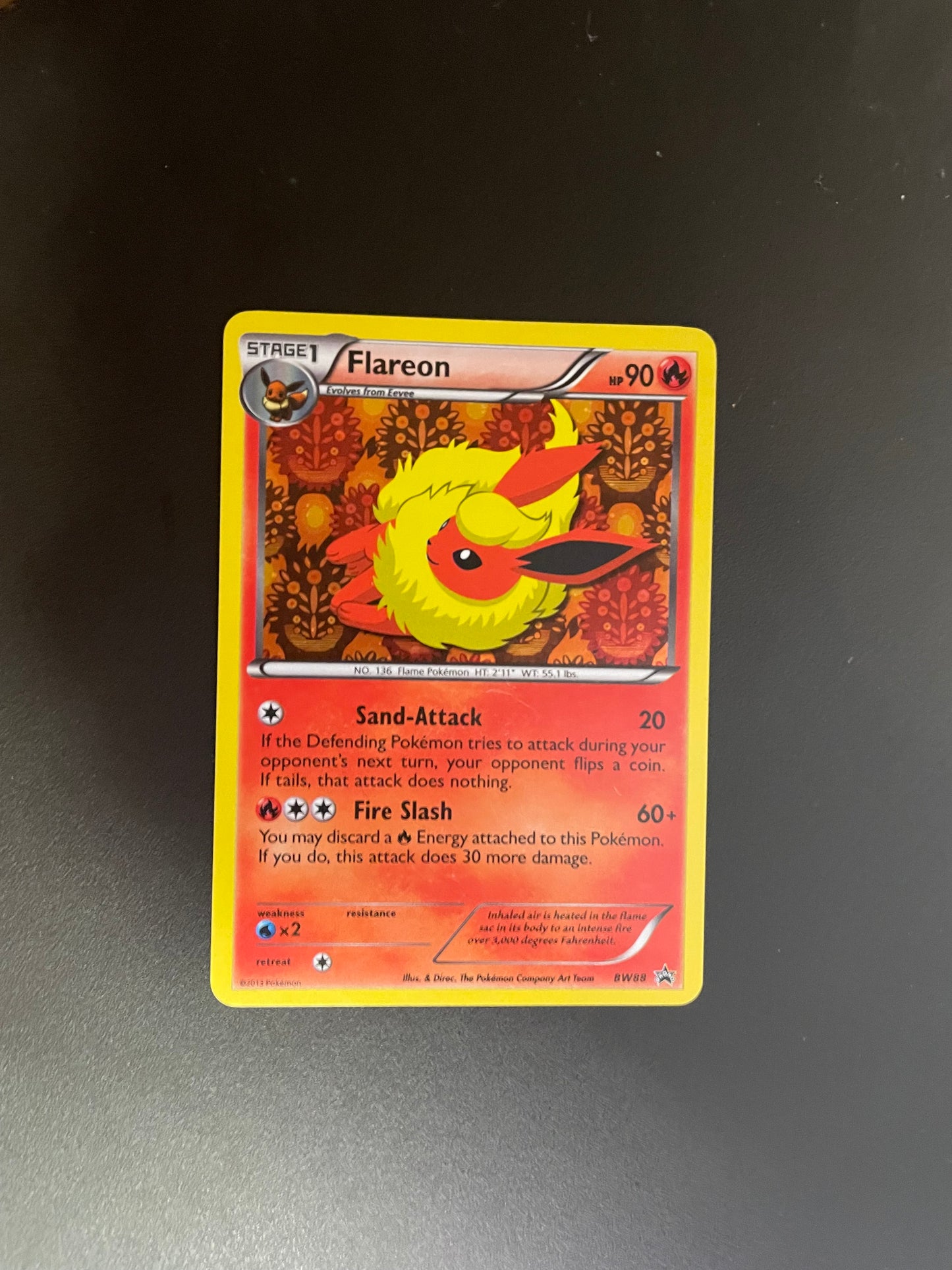 Pokemon Karte Holo Promo Flamara BW88 Englisch