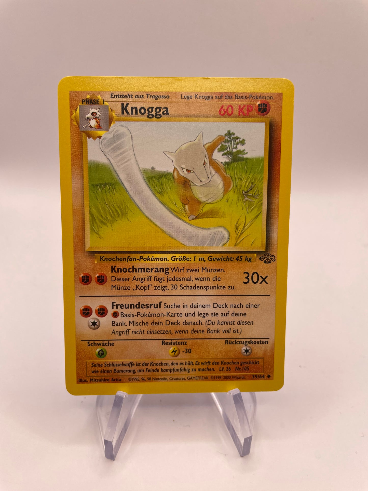 Pokemon Karte Knogga 39/64 Jungel Deutsch