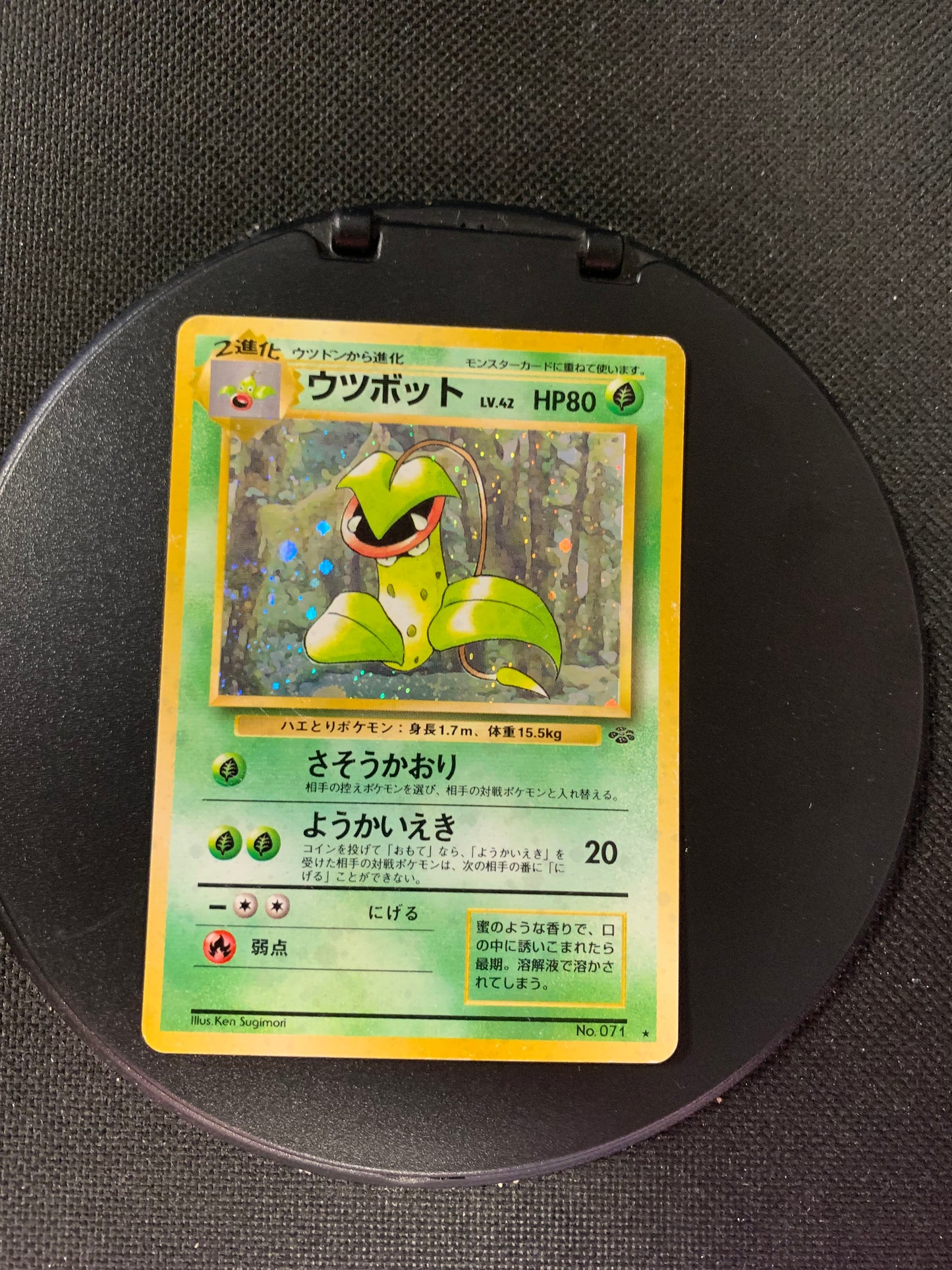 Pokemon Karte Holo Sarzenia No.71 Japanisch